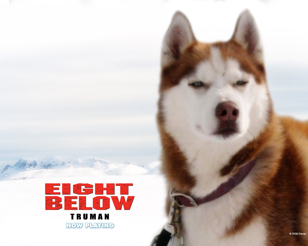 Eight Below Wallpapers