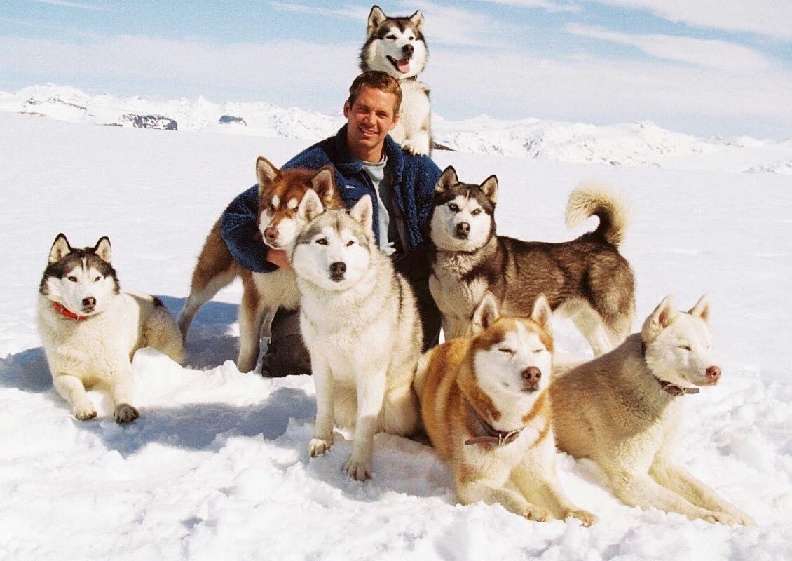 Eight Below Wallpapers