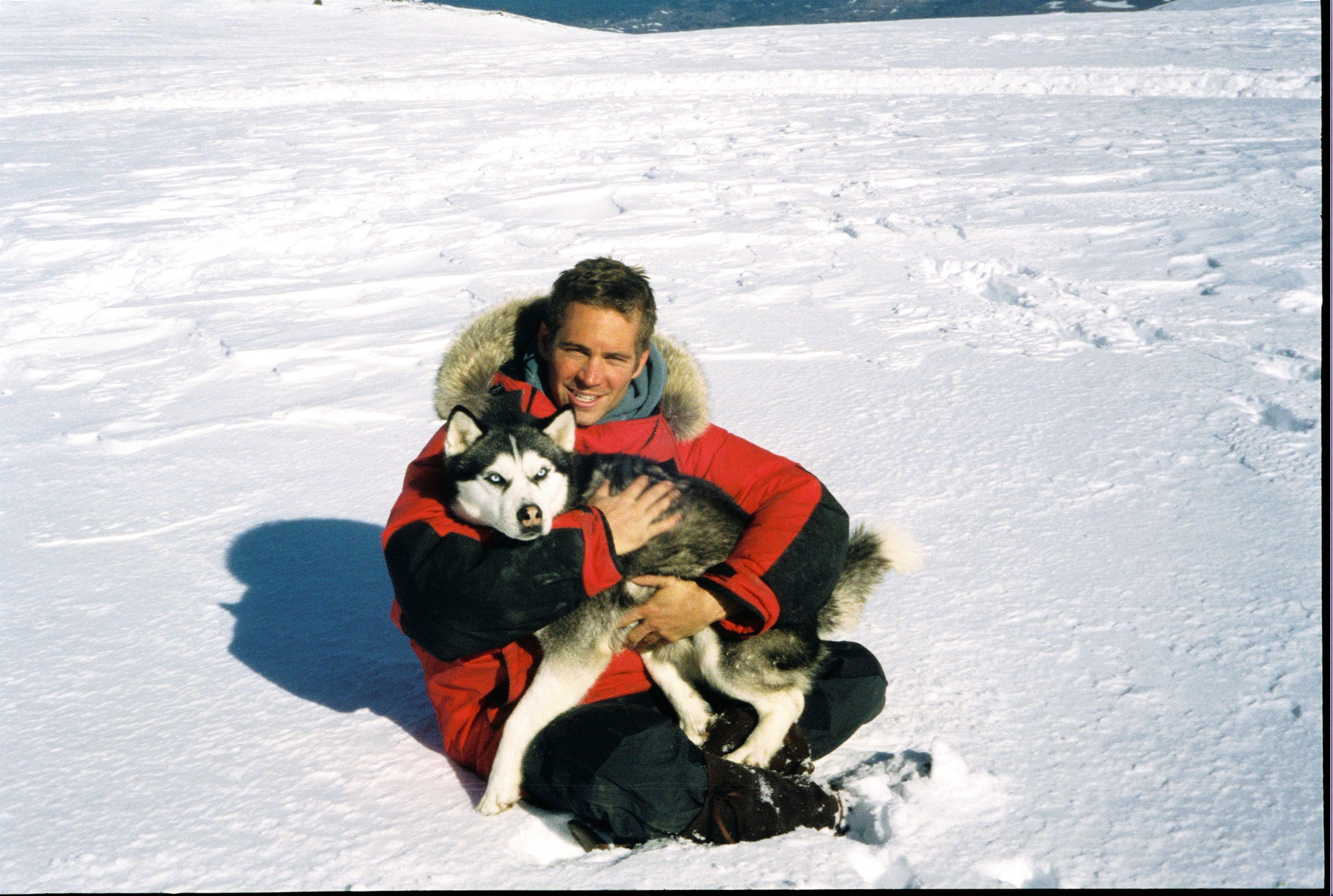 Eight Below Wallpapers