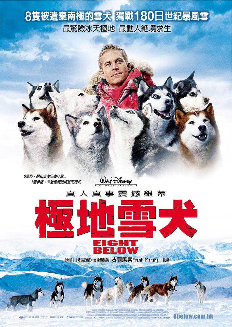 Eight Below Wallpapers