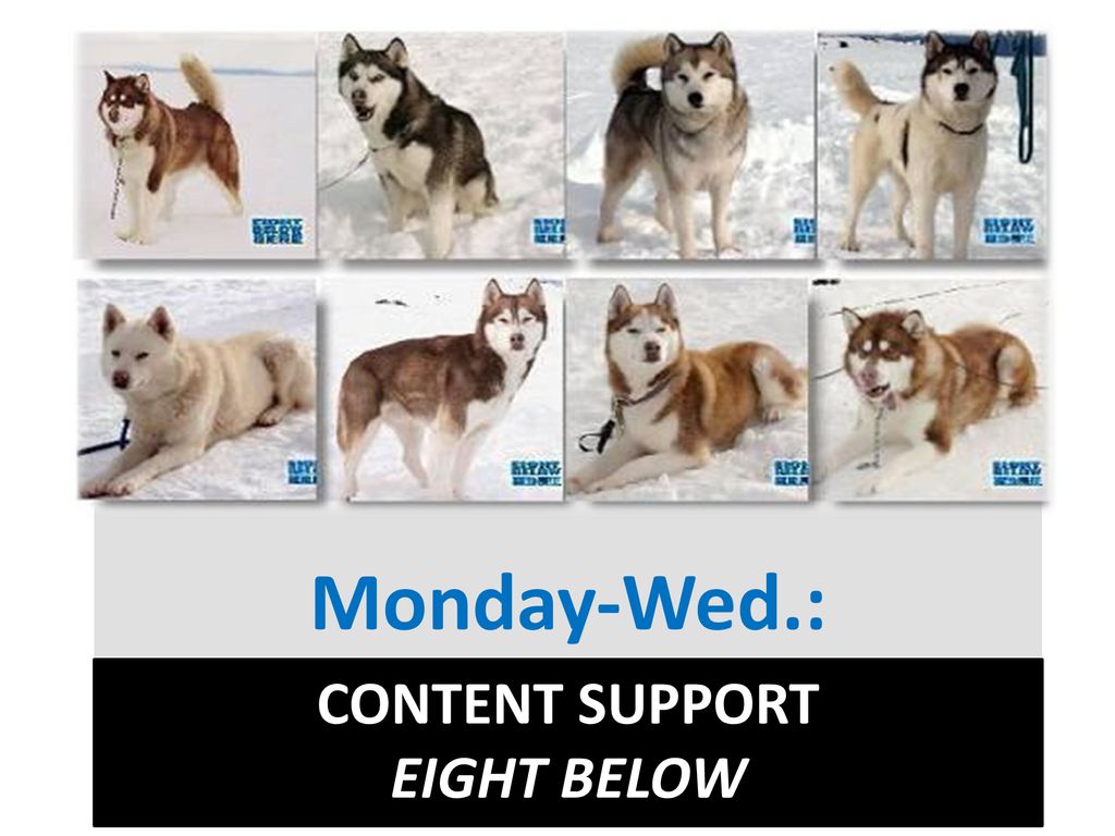 Eight Below Wallpapers