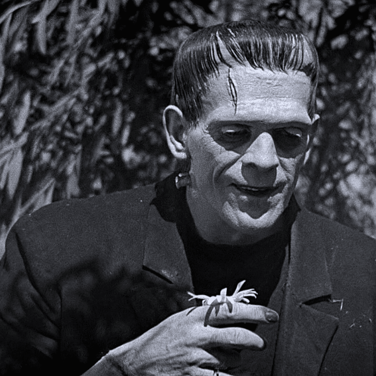 Frankenstein (1931) Wallpapers