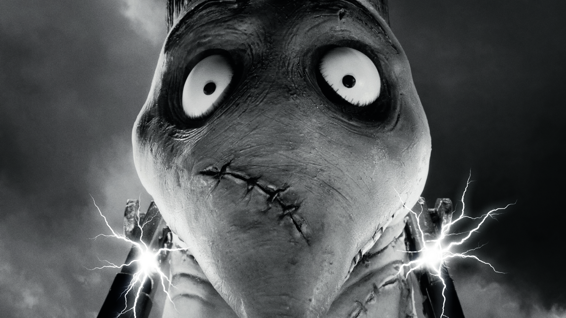 Frankenweenie Wallpapers