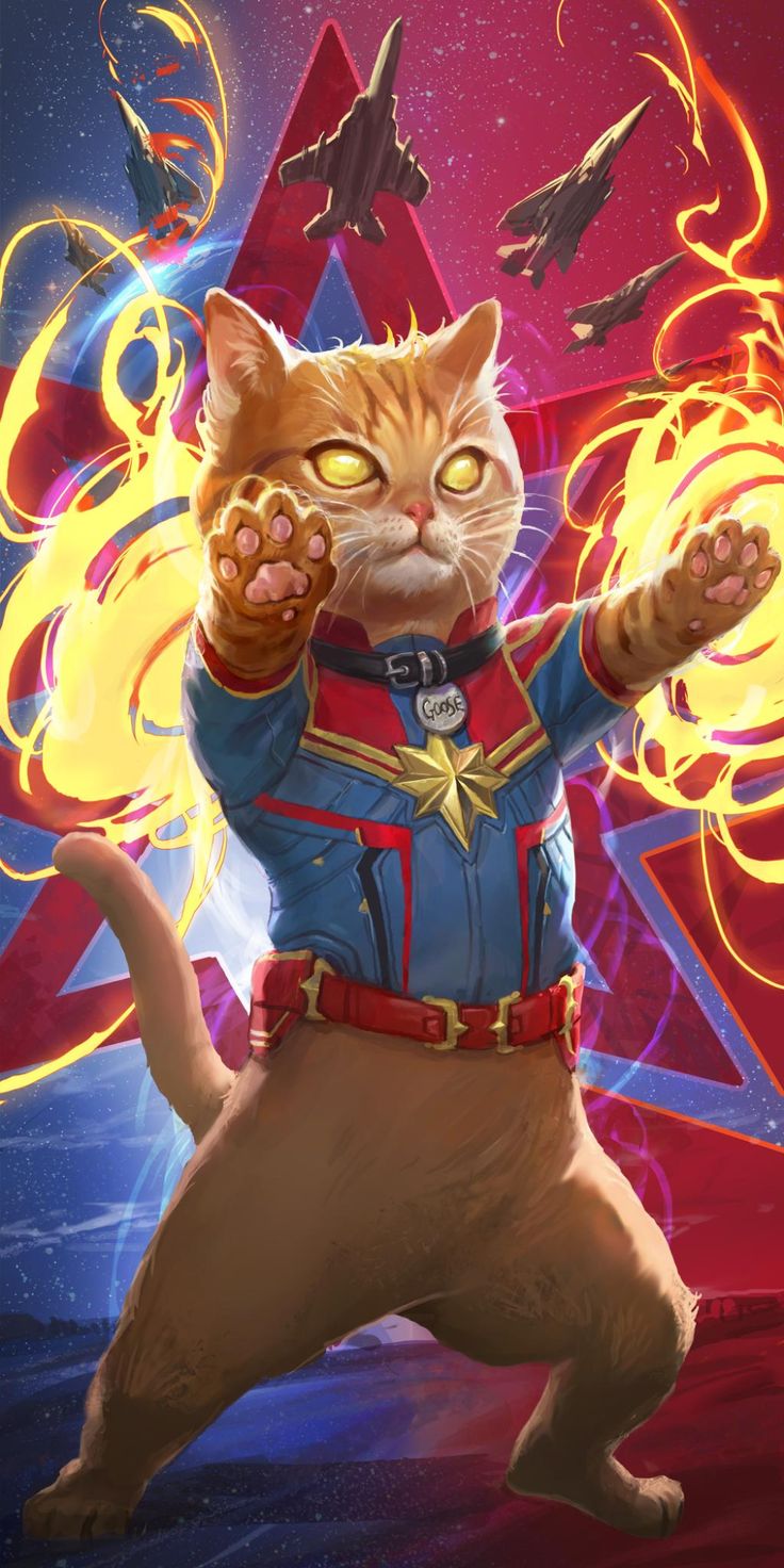 Goose The Cat In Captain Marvel Image Wallpapers