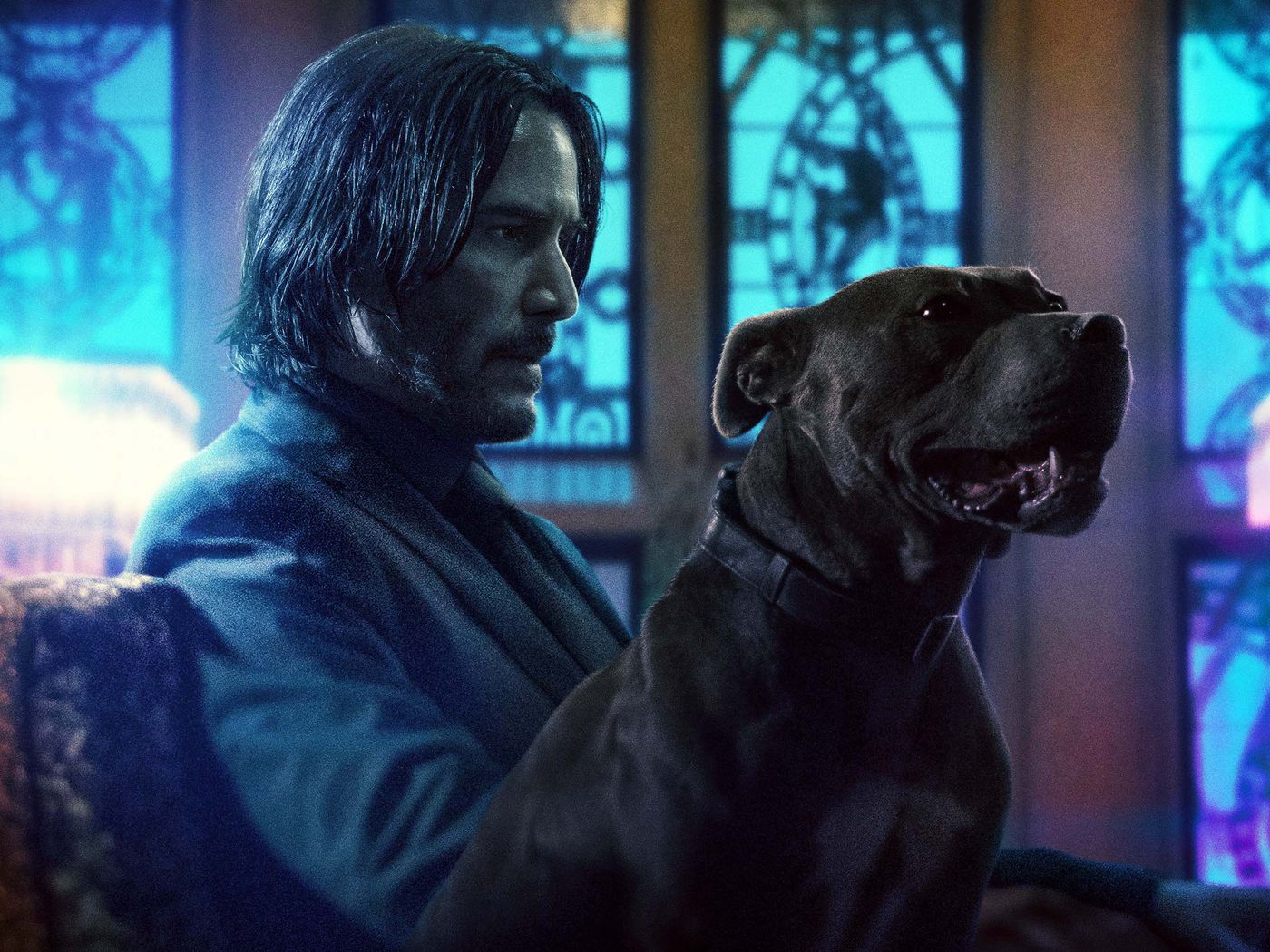 Halle Berry In John Wick 3 Wallpapers