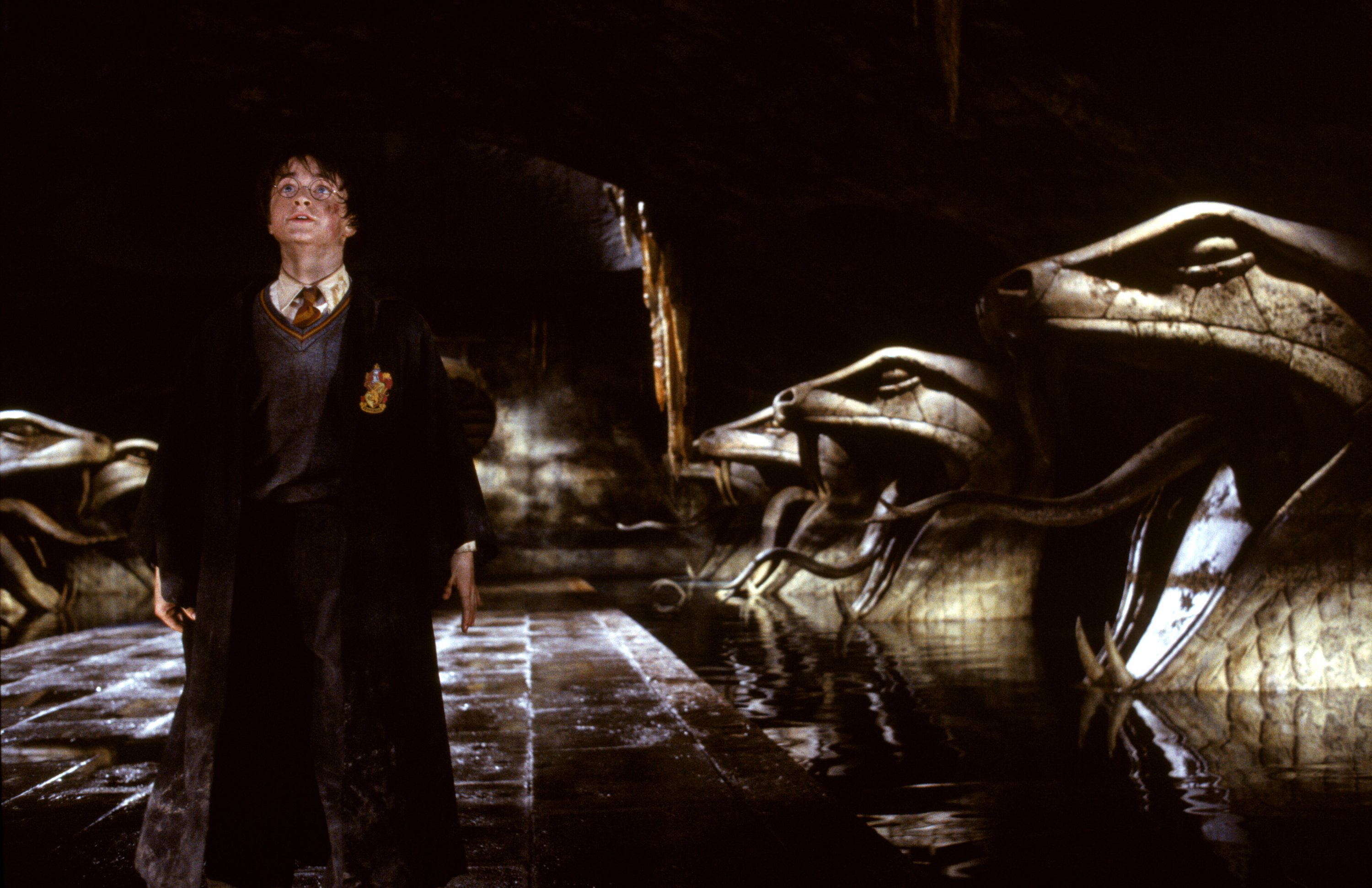 Harry Potter And The Chamber Of Secrets Wallpapers