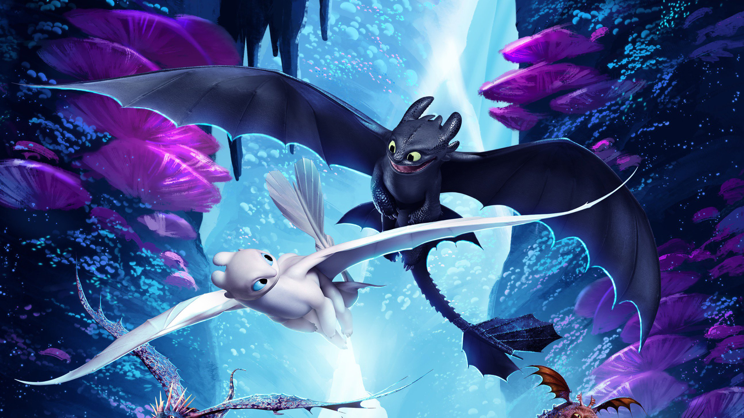 How To Train Your Dragon: The Hidden World Wallpapers