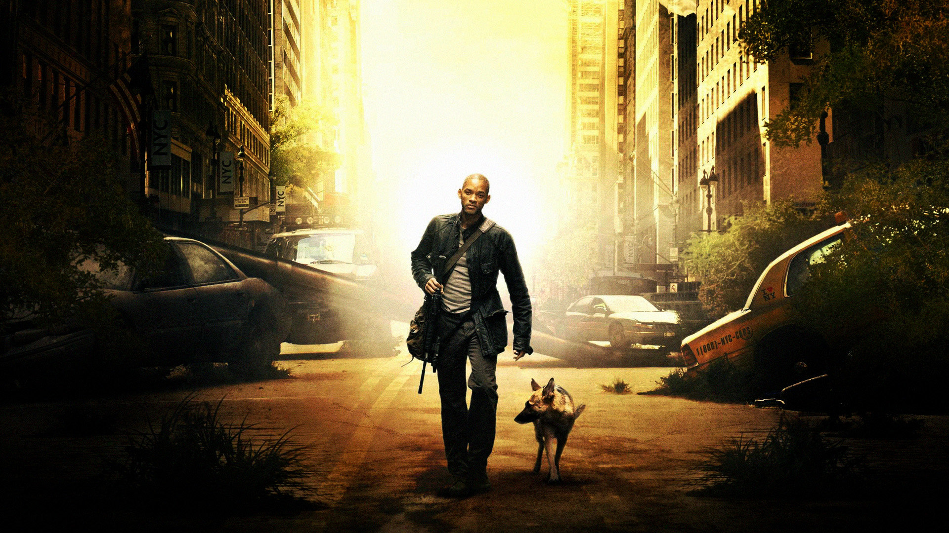 I Am Legend Wallpapers