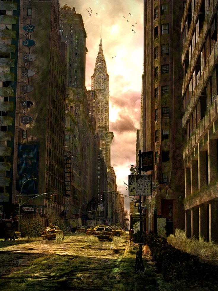 I Am Legend Wallpapers