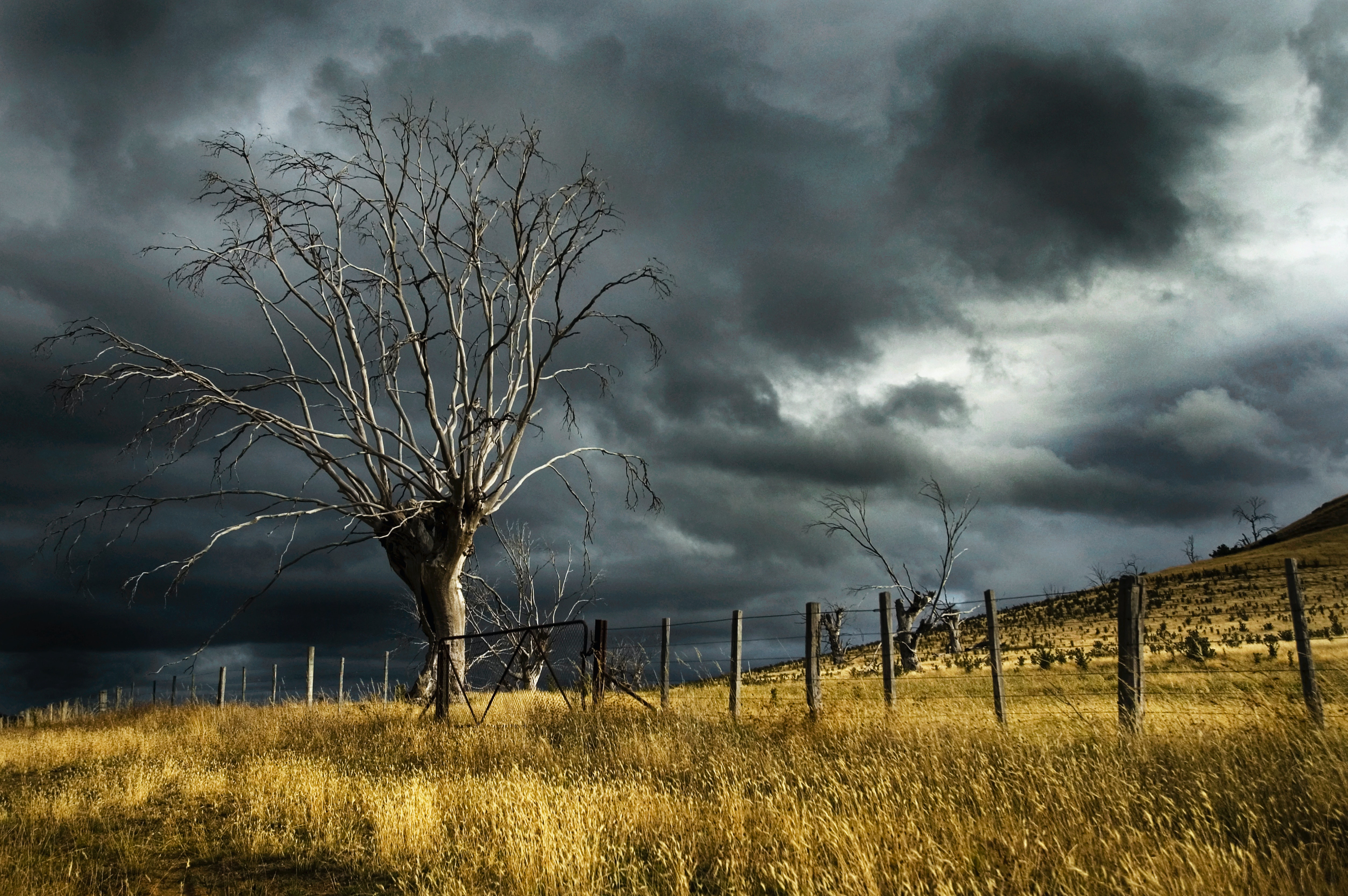 Into The Storm Wallpapers