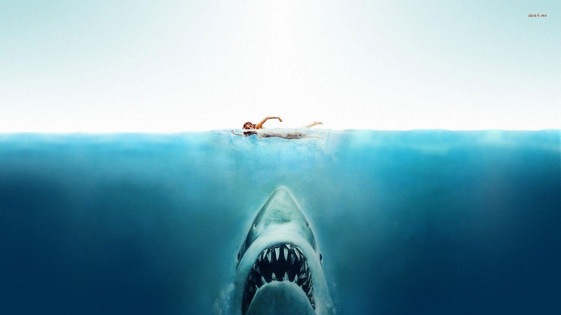 Jaws Wallpapers