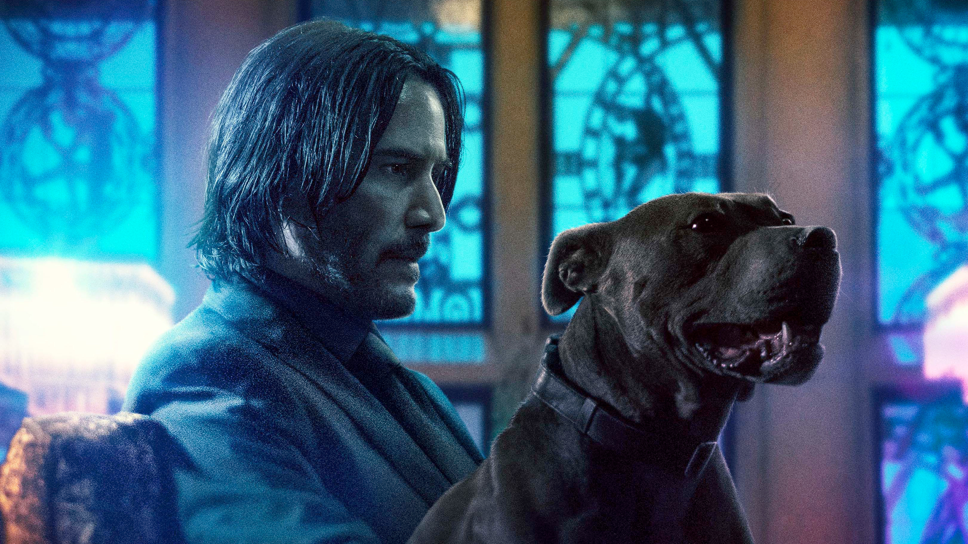 John Wick 2019 Movie Wallpapers