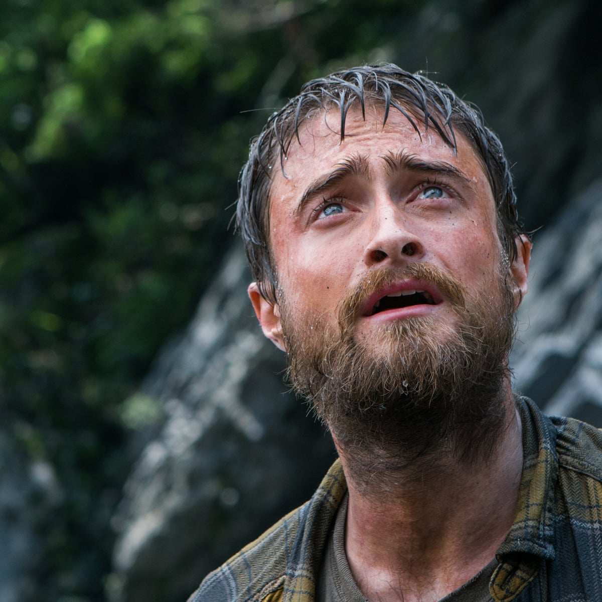 Jungle Daniel Radcliffe Movie Wallpapers