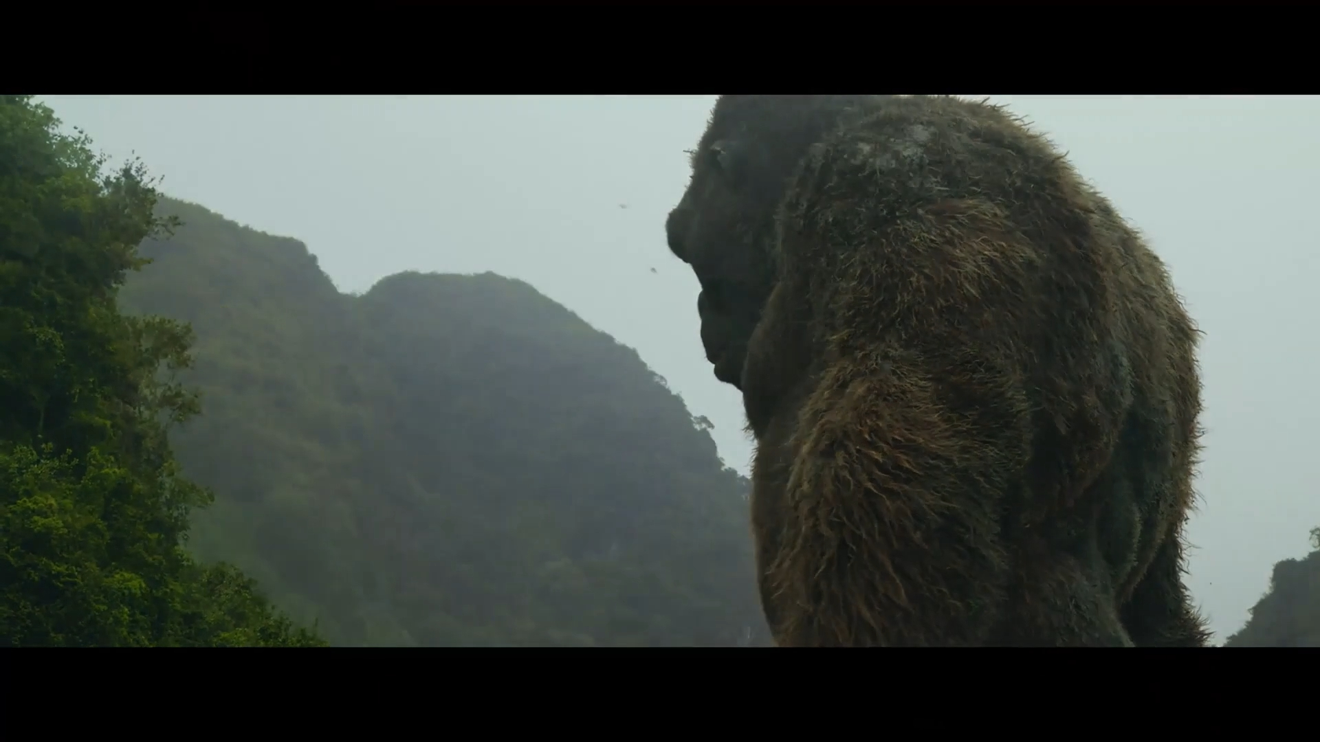 Kong Skull Island King 8K Wallpapers