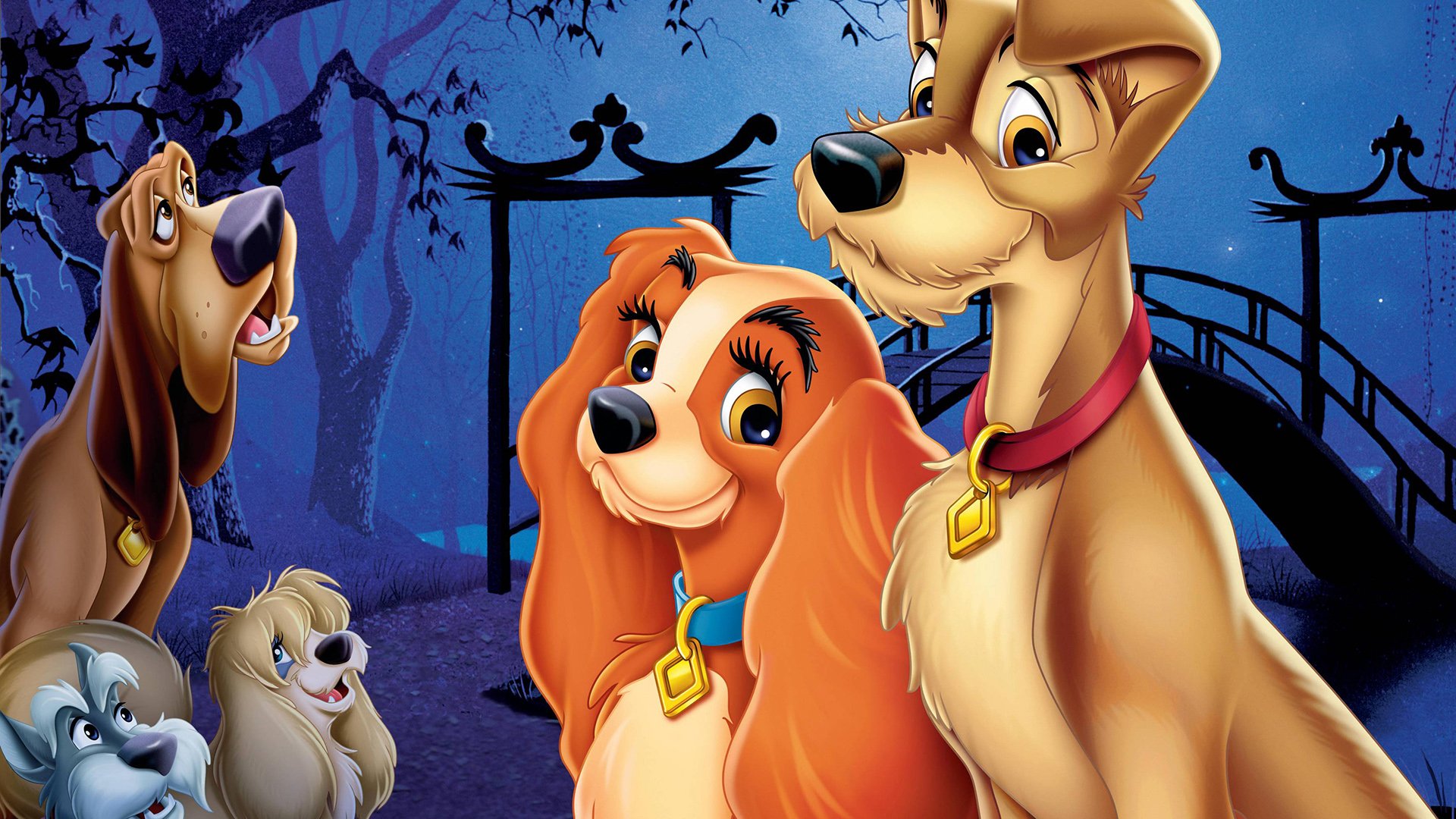 Lady And The Tramp (1955) Wallpapers