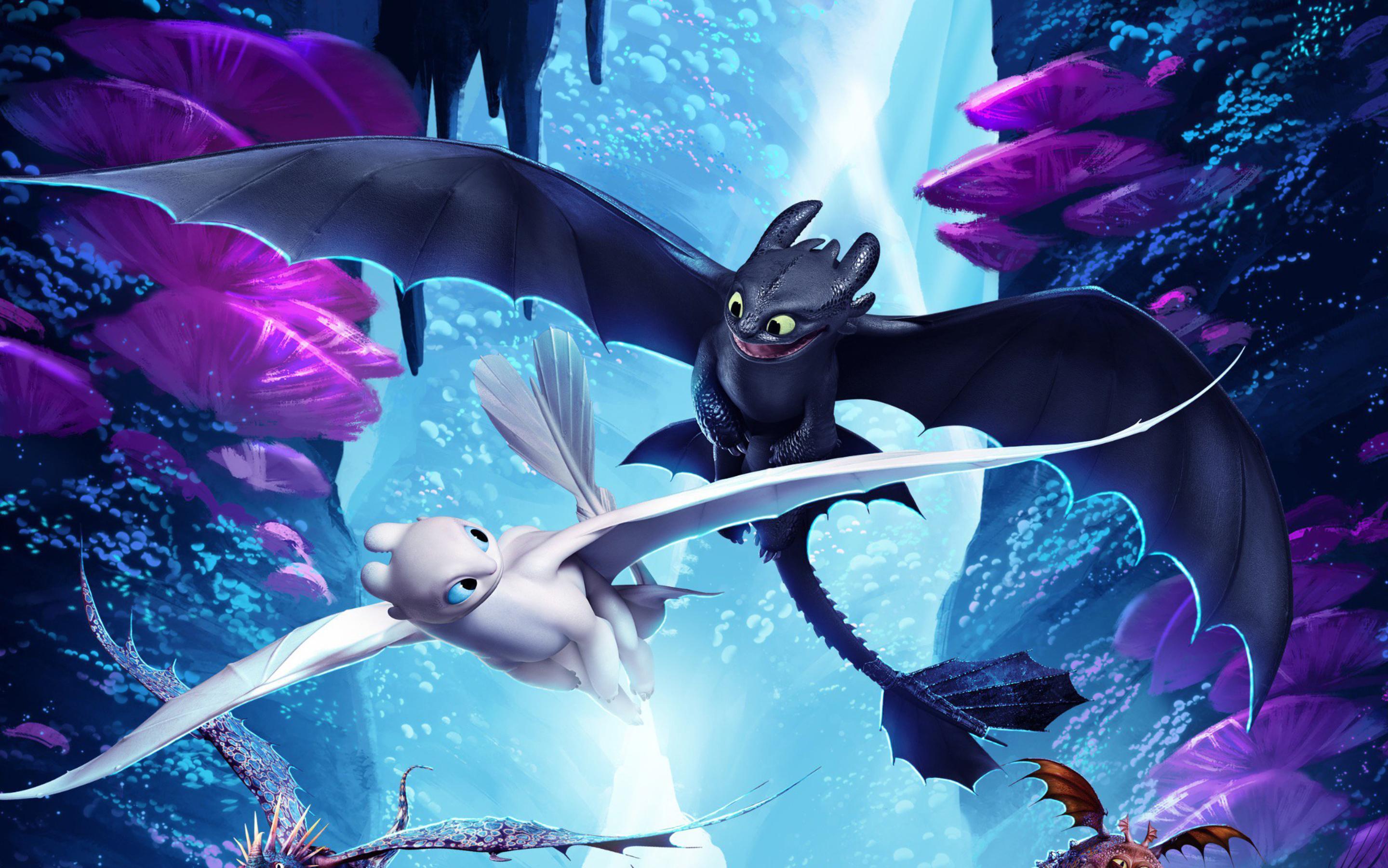 Light Fury In How To Train Your Dragon The Hidden World Wallpapers