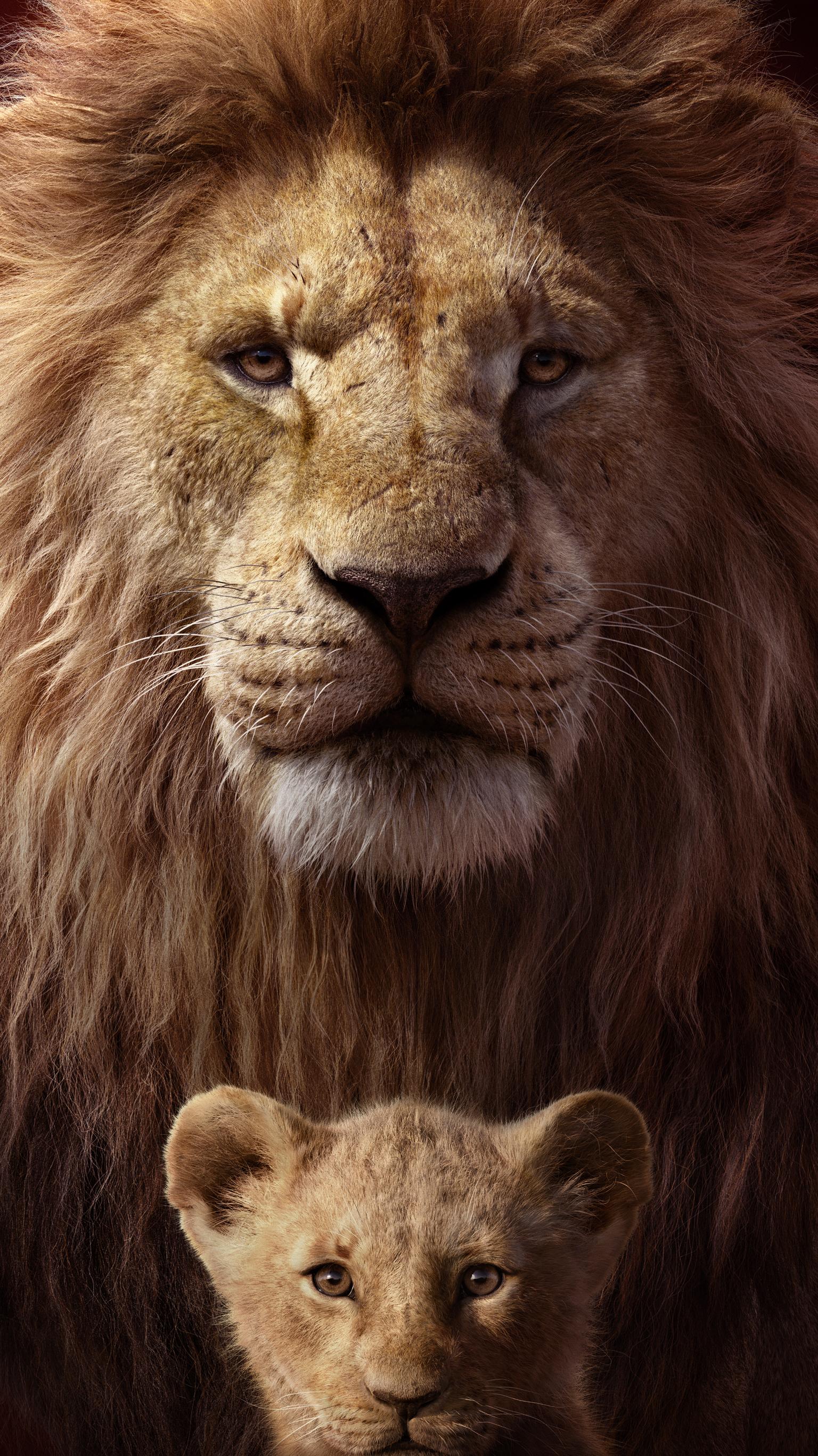 Lion From The Lion King Wallpapers