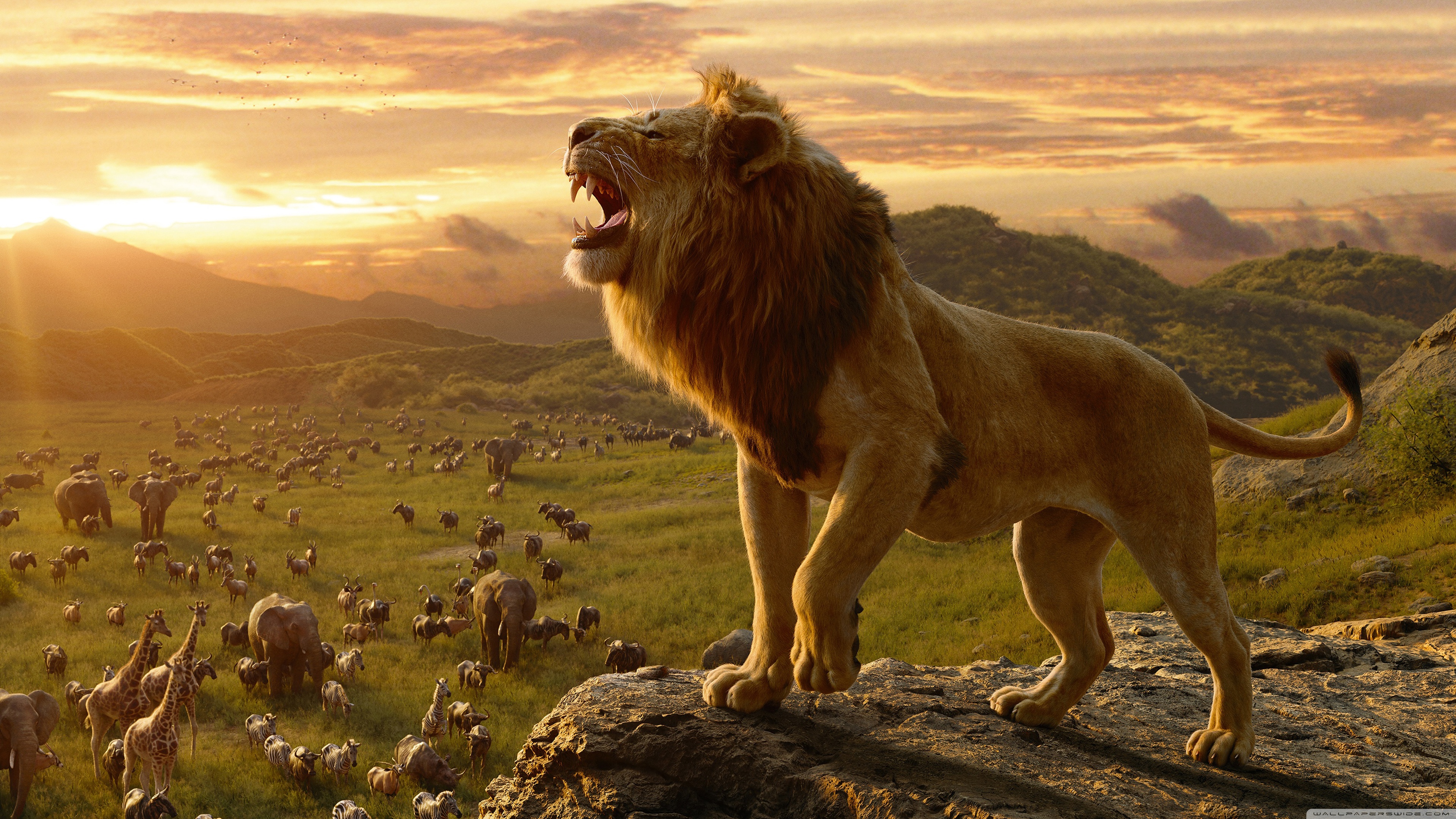 Lion King 2019 Wallpapers