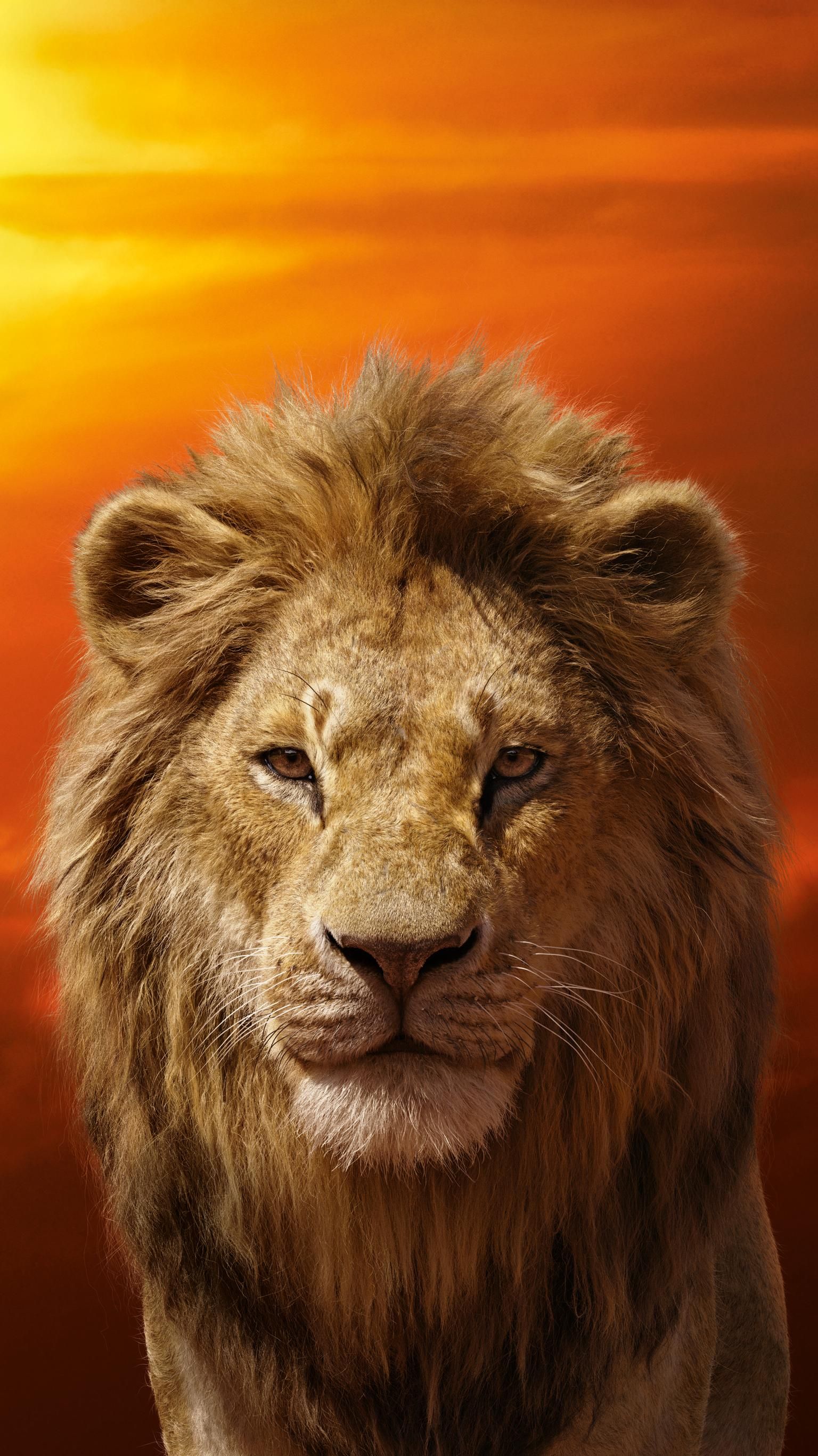 Lion King 2019 Wallpapers