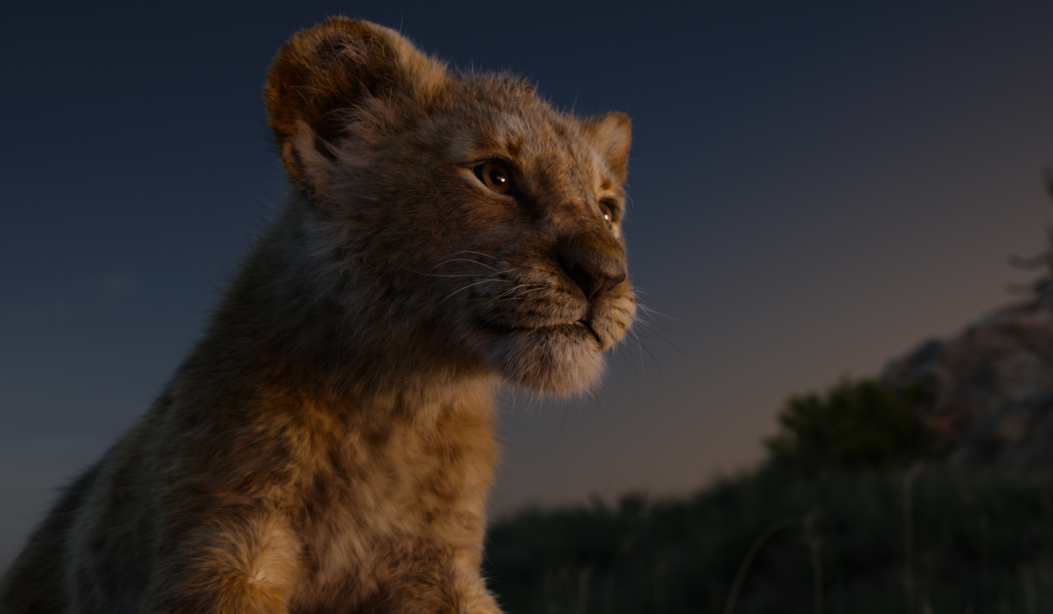 Lion King 2019 Wallpapers