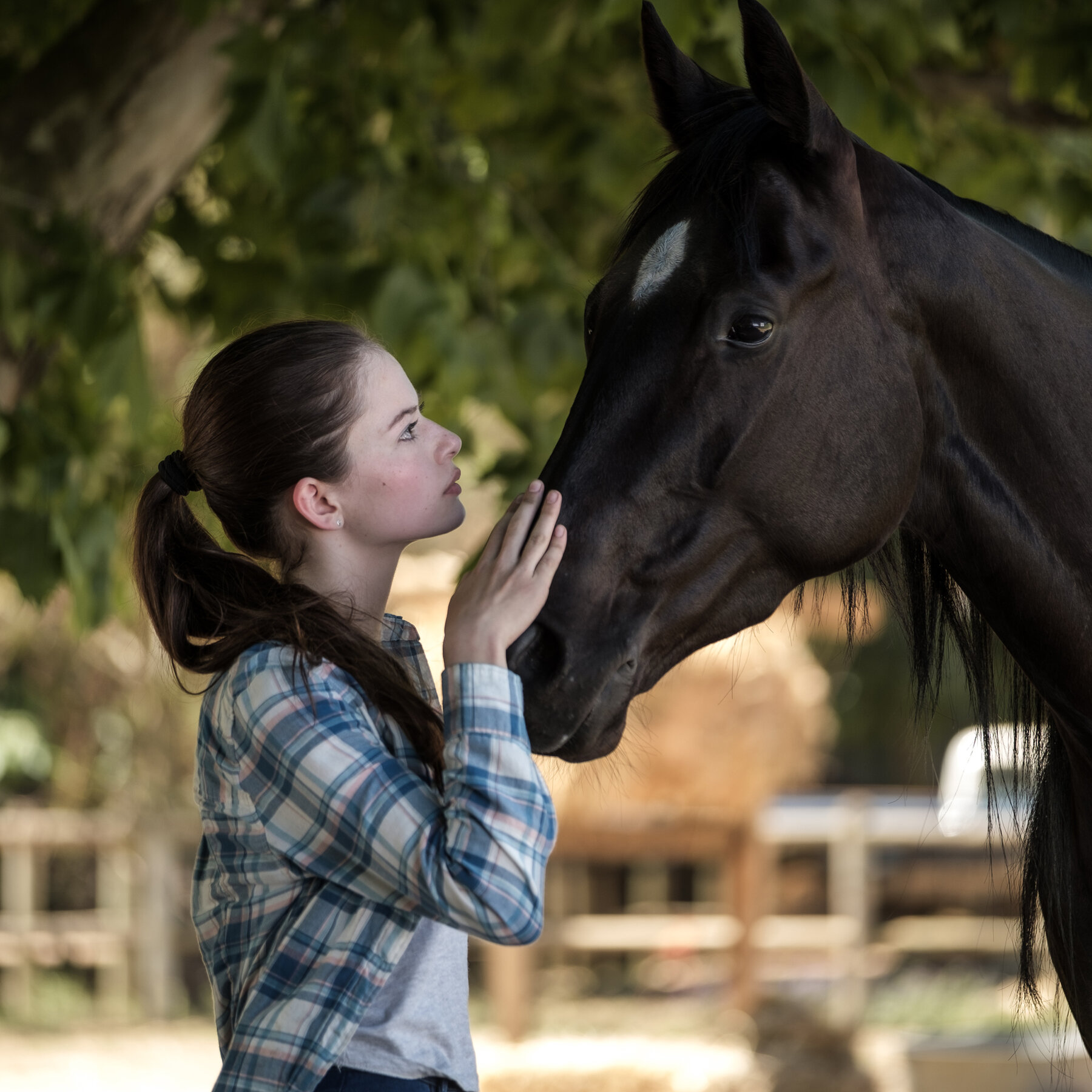 Mackenzie Foy Black Beauty Wallpapers