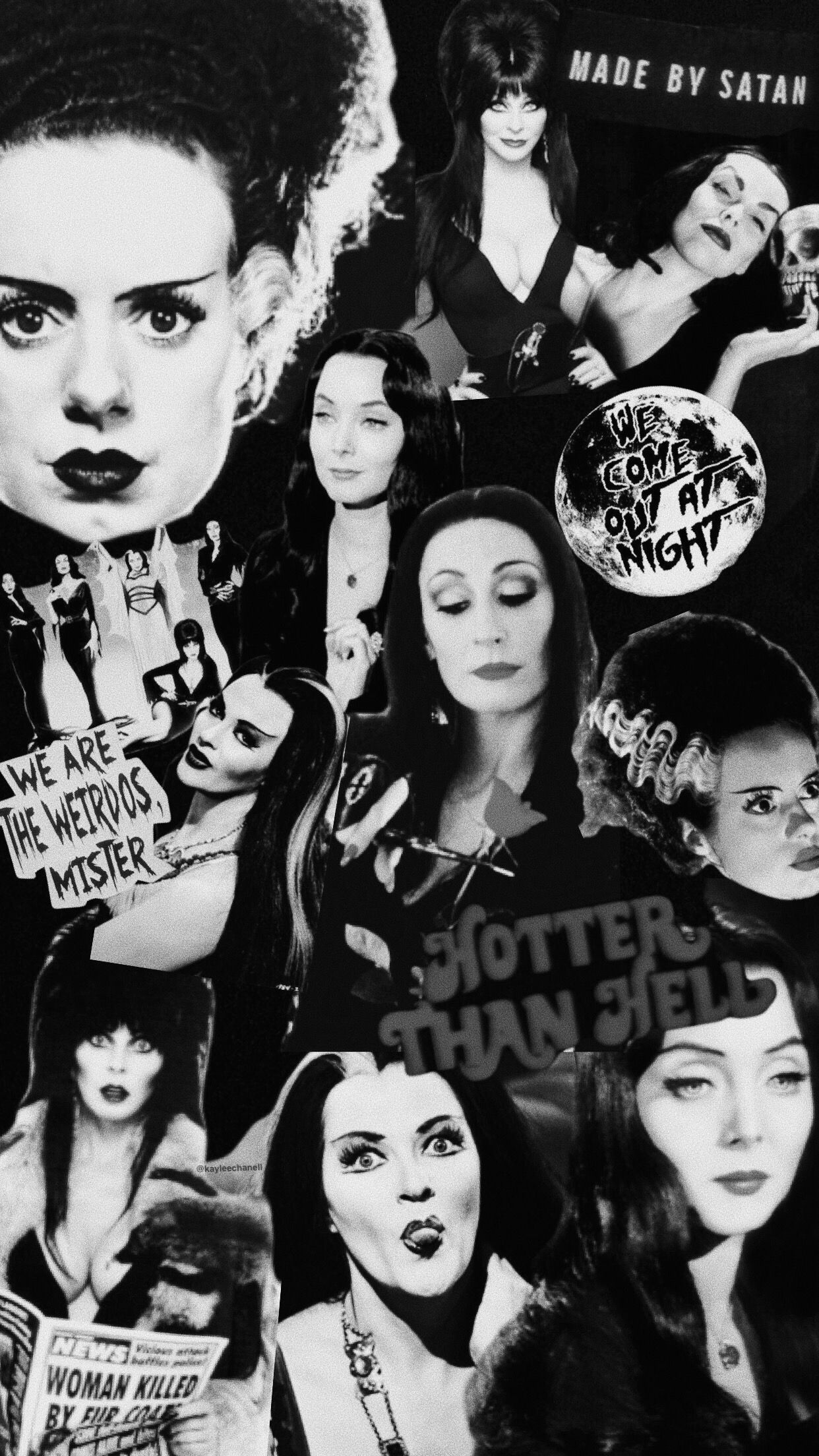 Morticia Addams The Addams Family Wallpapers