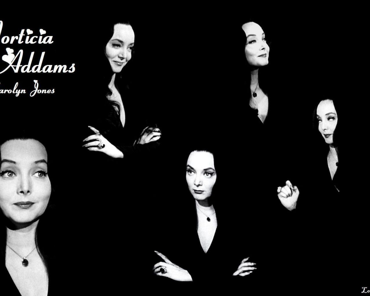 Morticia Addams The Addams Family Wallpapers