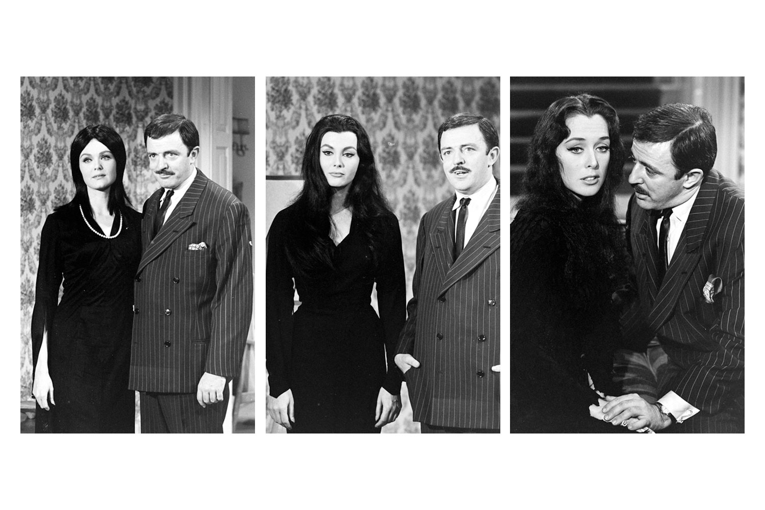 Morticia Addams The Addams Family Wallpapers