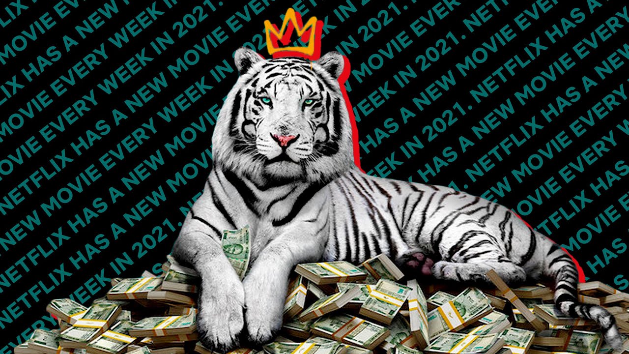 Netflix The White Tiger Wallpapers