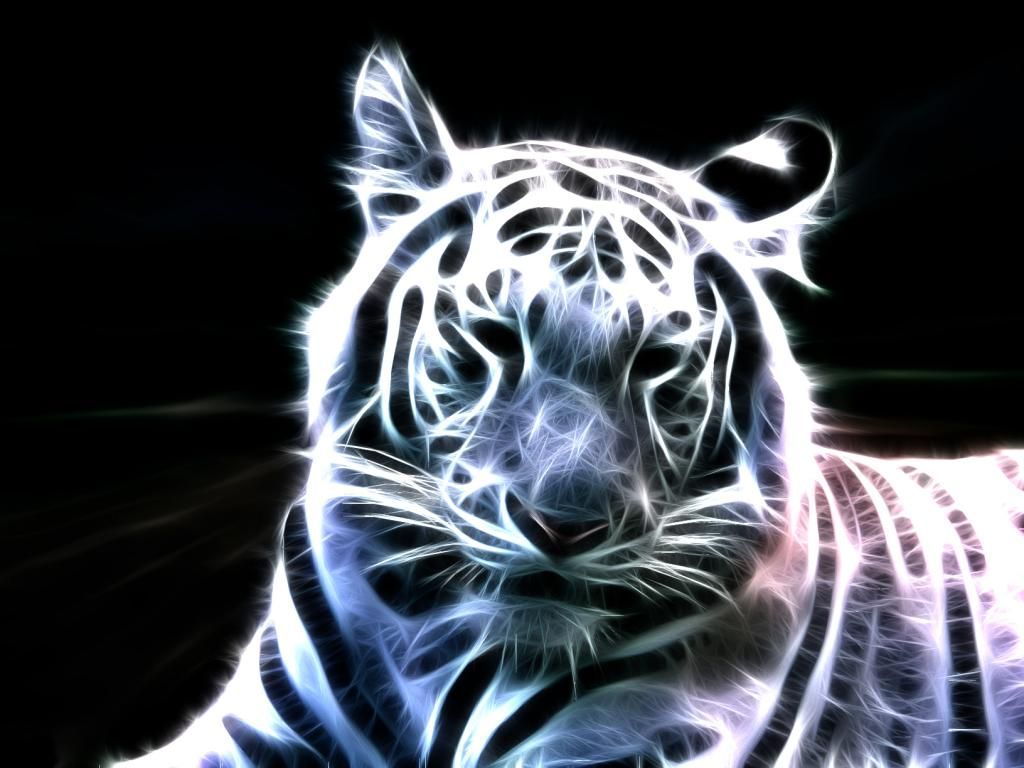 Netflix The White Tiger Wallpapers