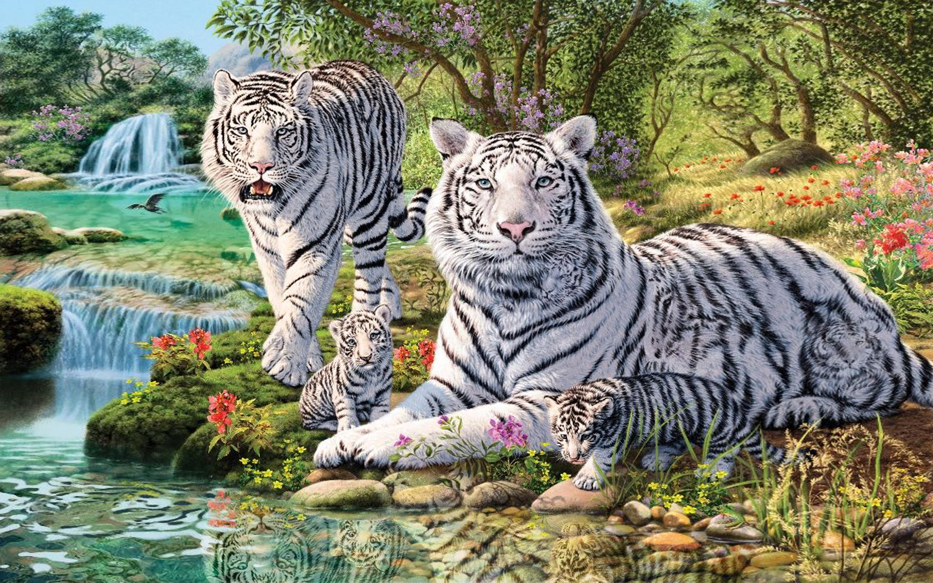 Netflix The White Tiger Wallpapers