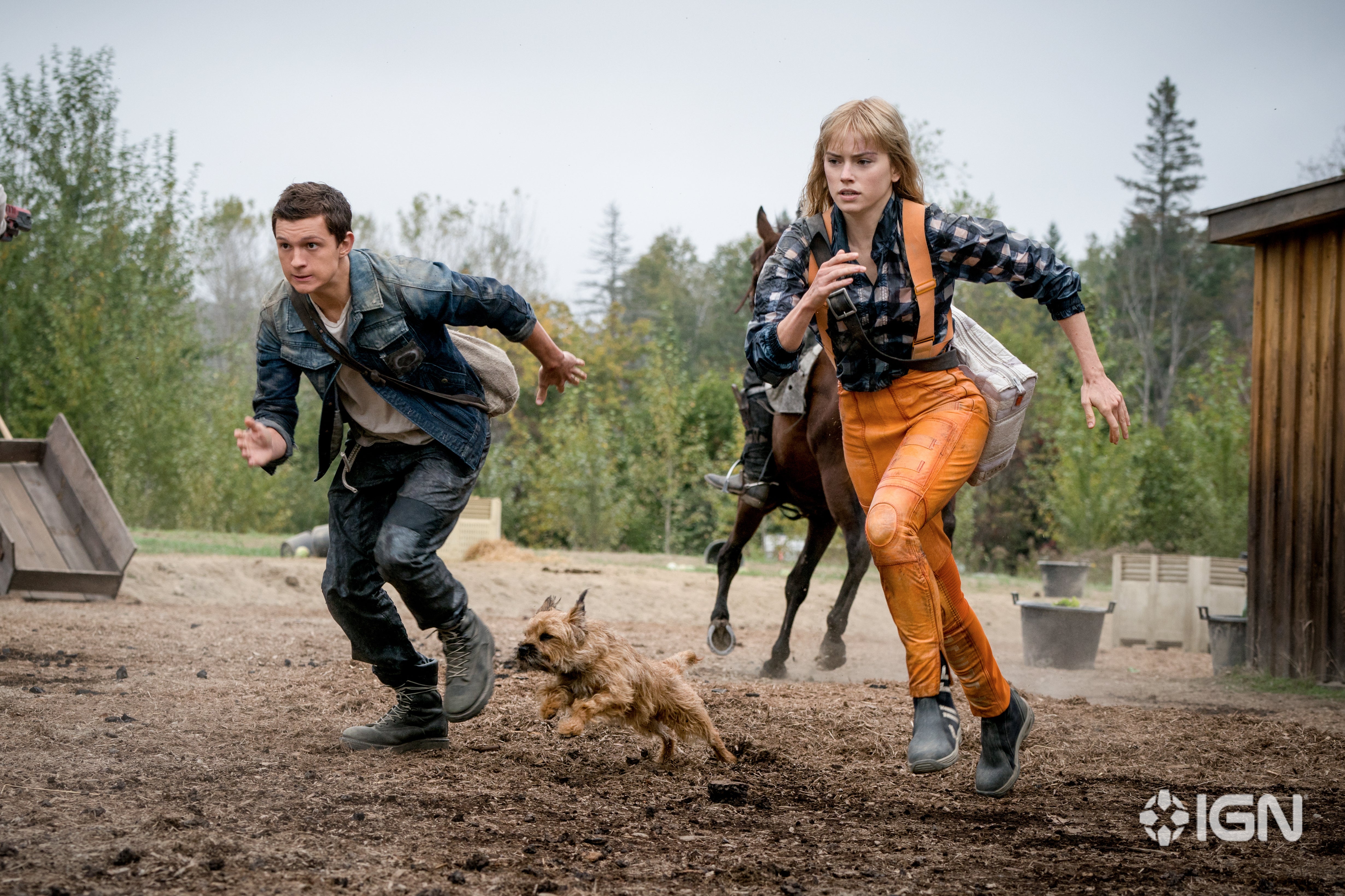 Nick Jonas As Davy Prentiss Jr In Chaos Walking Wallpapers