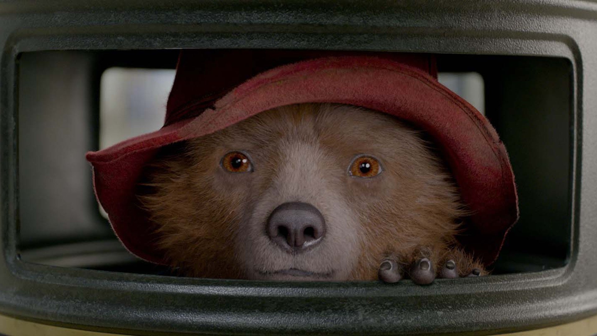 Paddington 2 Bear Wallpapers