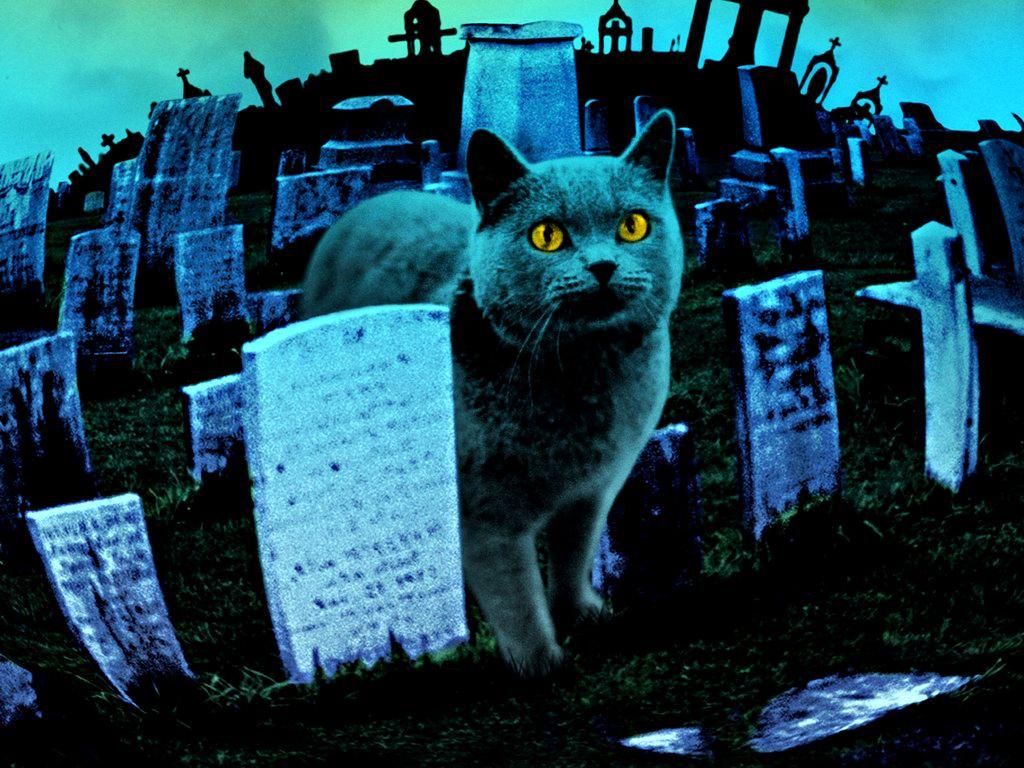 Pet Sematary Movie Poster Wallpapers