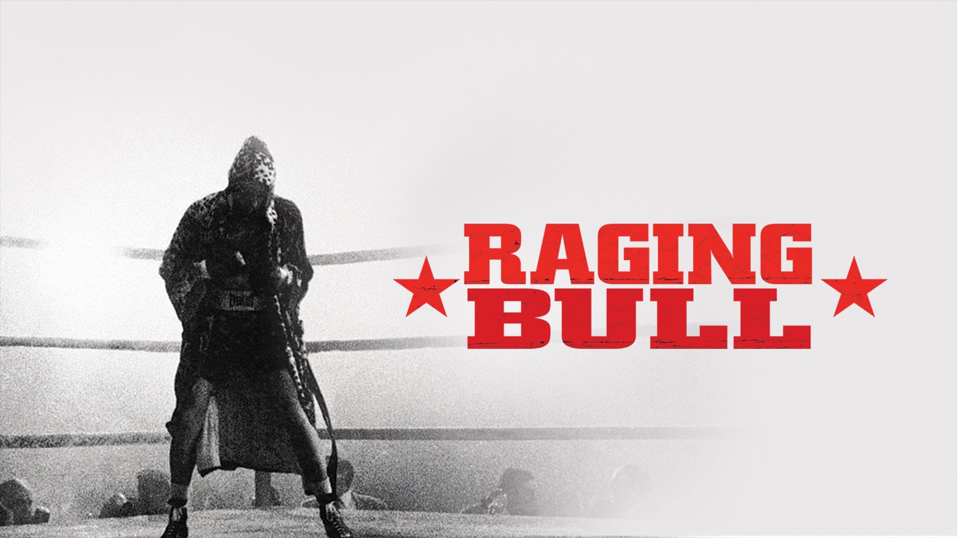 Raging Bull Wallpapers