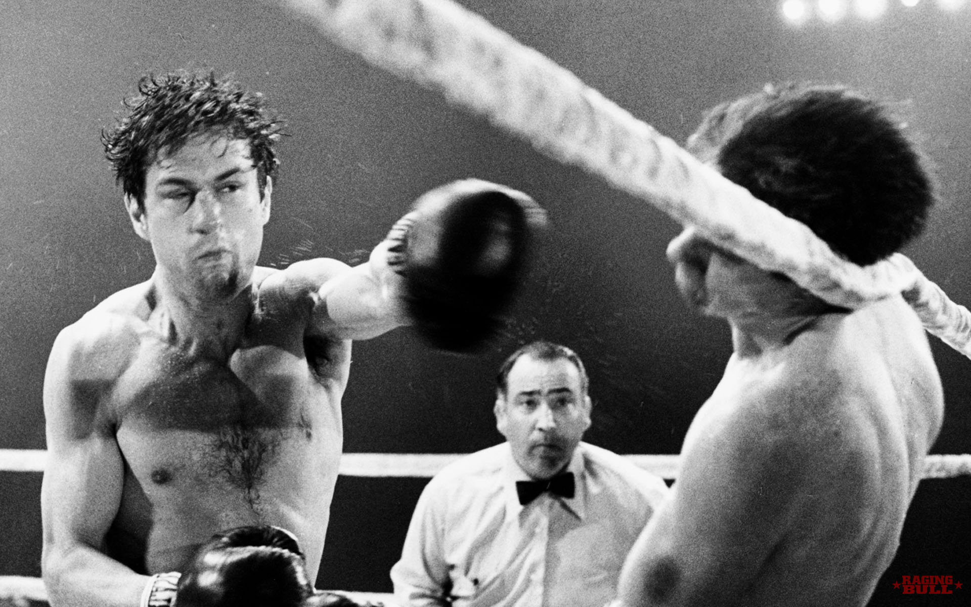 Raging Bull Wallpapers