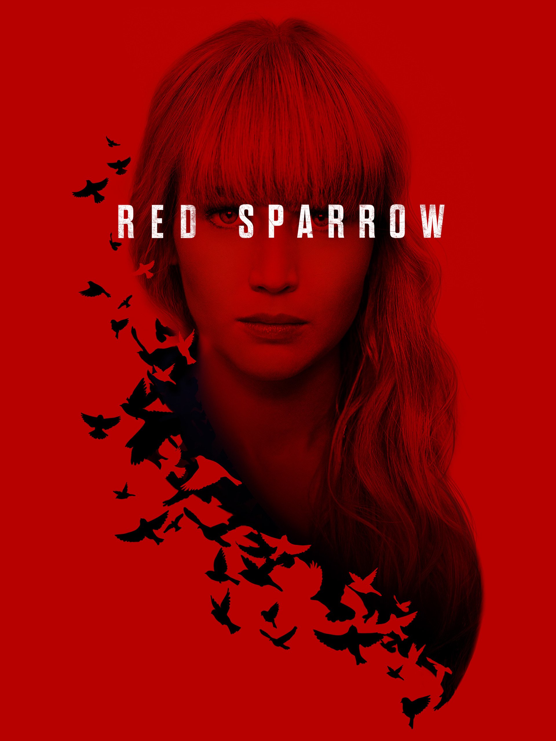 Red Sparrow Wallpapers