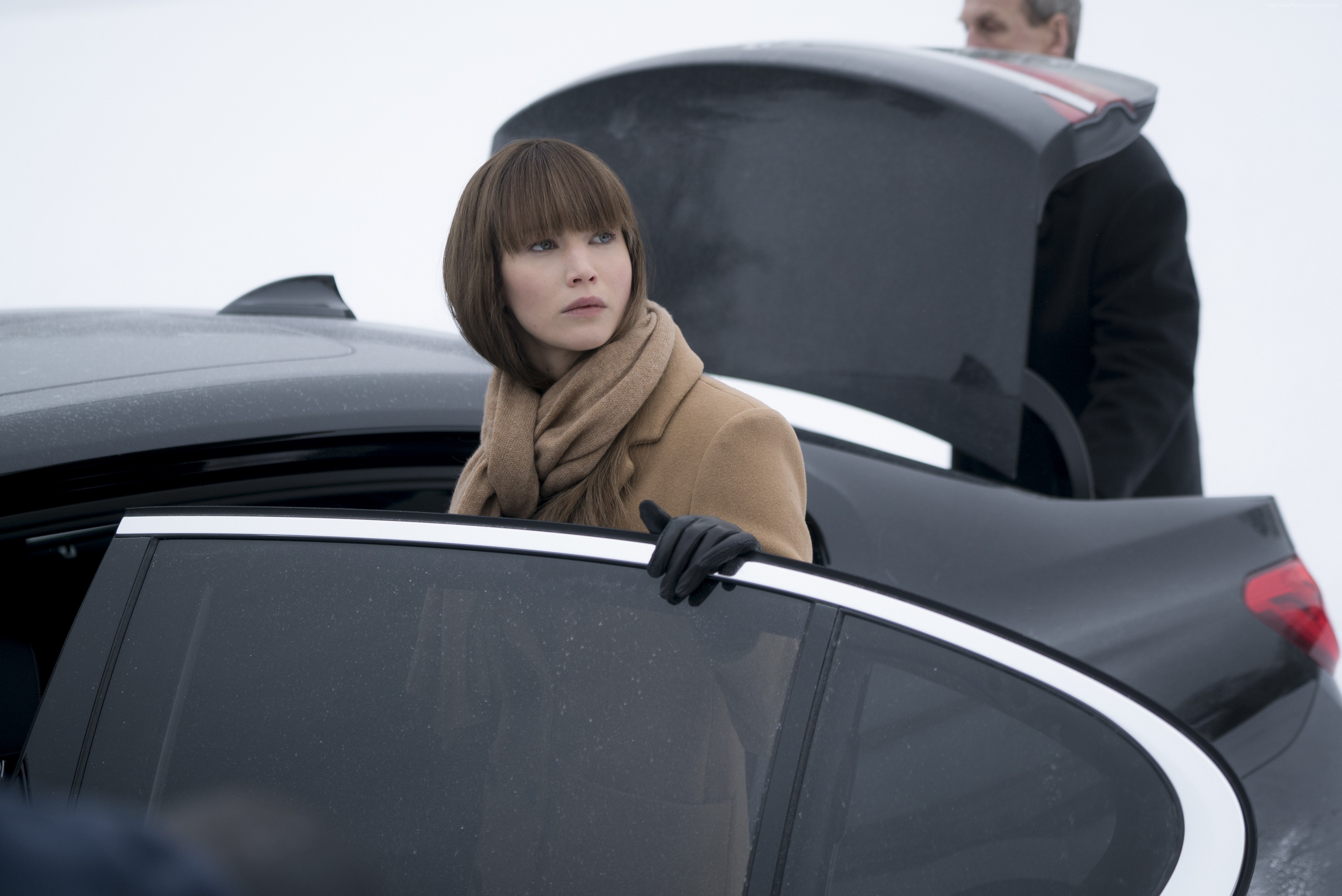 Red Sparrow Wallpapers