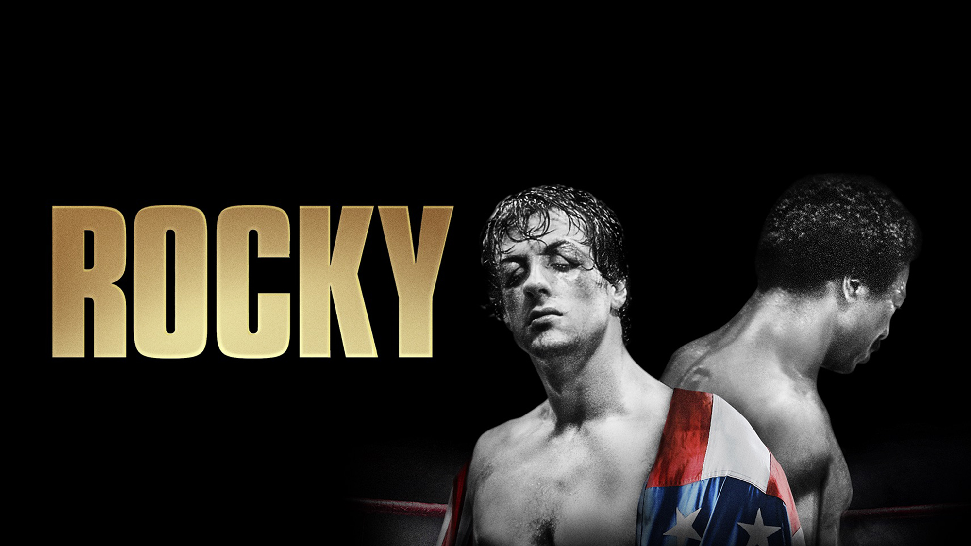 Rocky Wallpapers