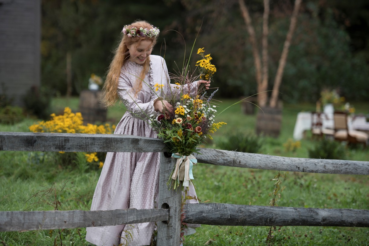 Saoirse Ronan In Little Women Wallpapers