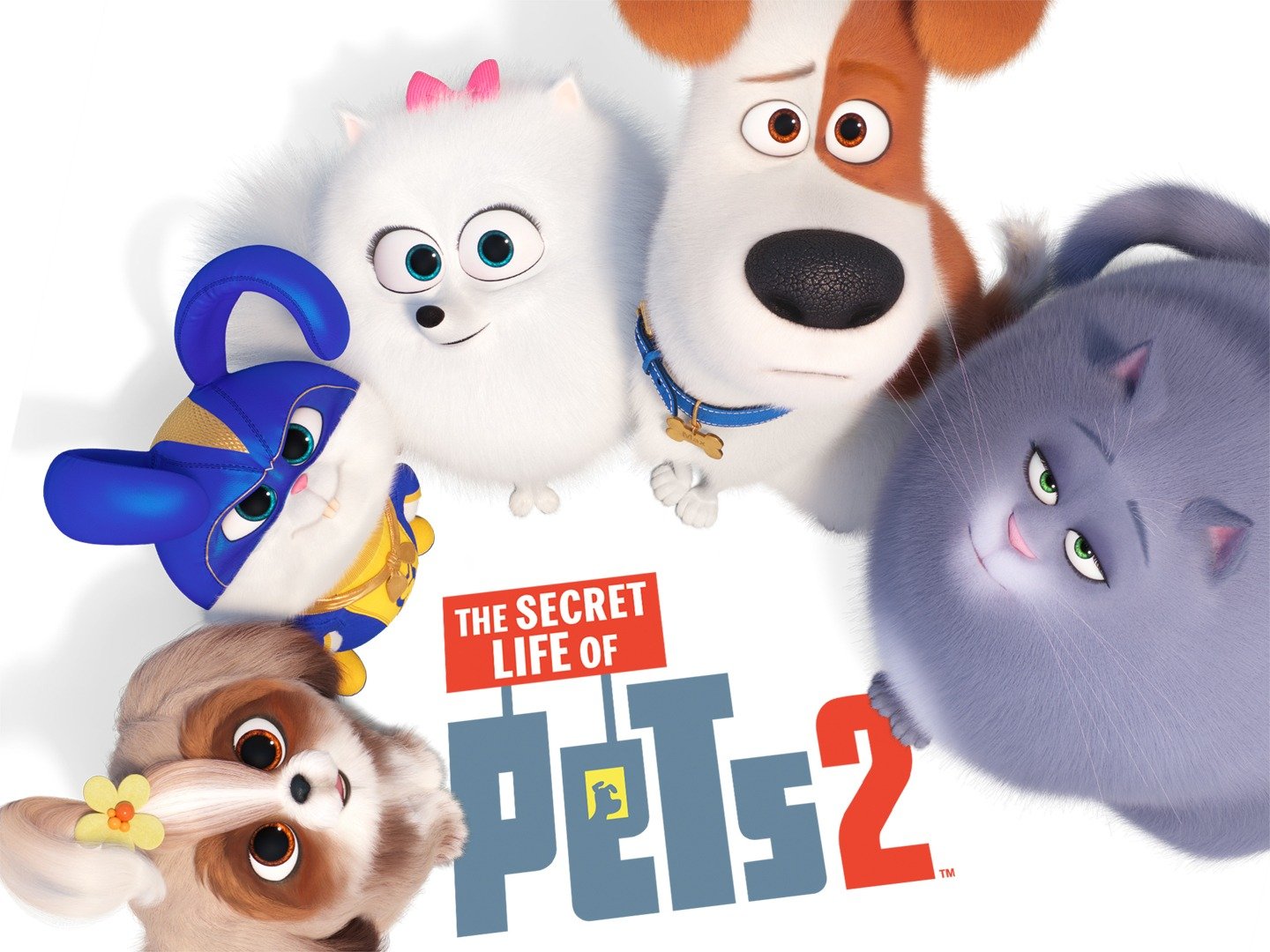 Snowball The Secret Life Of Pets 2 Wallpapers