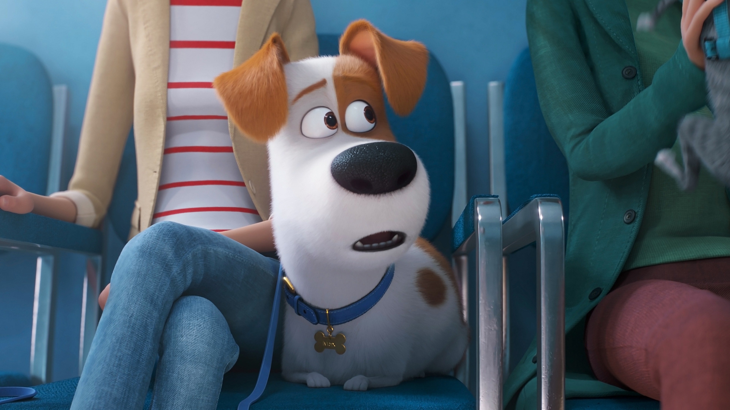 Snowball The Secret Life Of Pets 2 Wallpapers