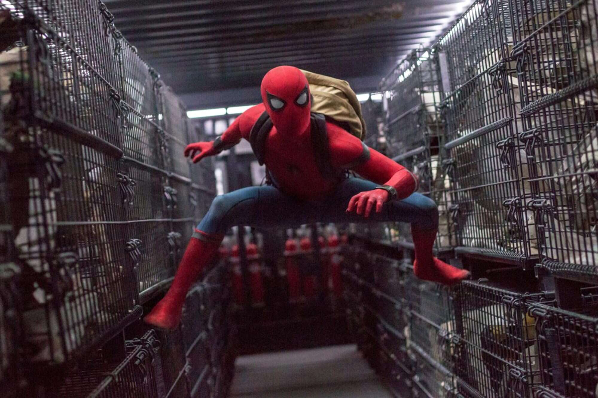 Spiderman Homecoming 2017 Fun Time Wallpapers