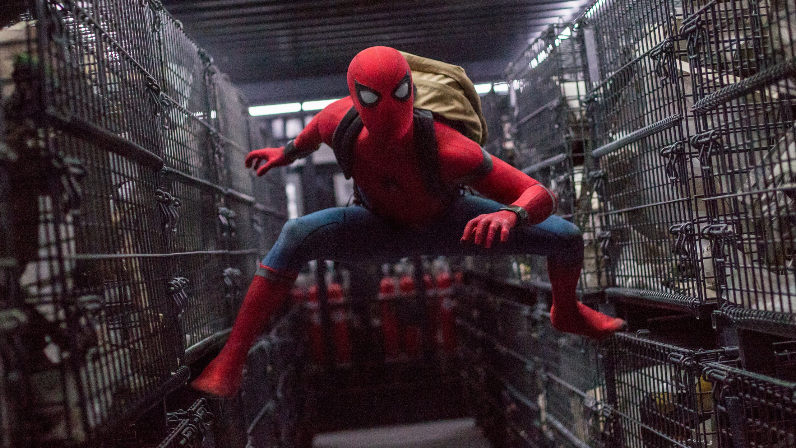 Spiderman Homecoming Hd Photo Wallpapers