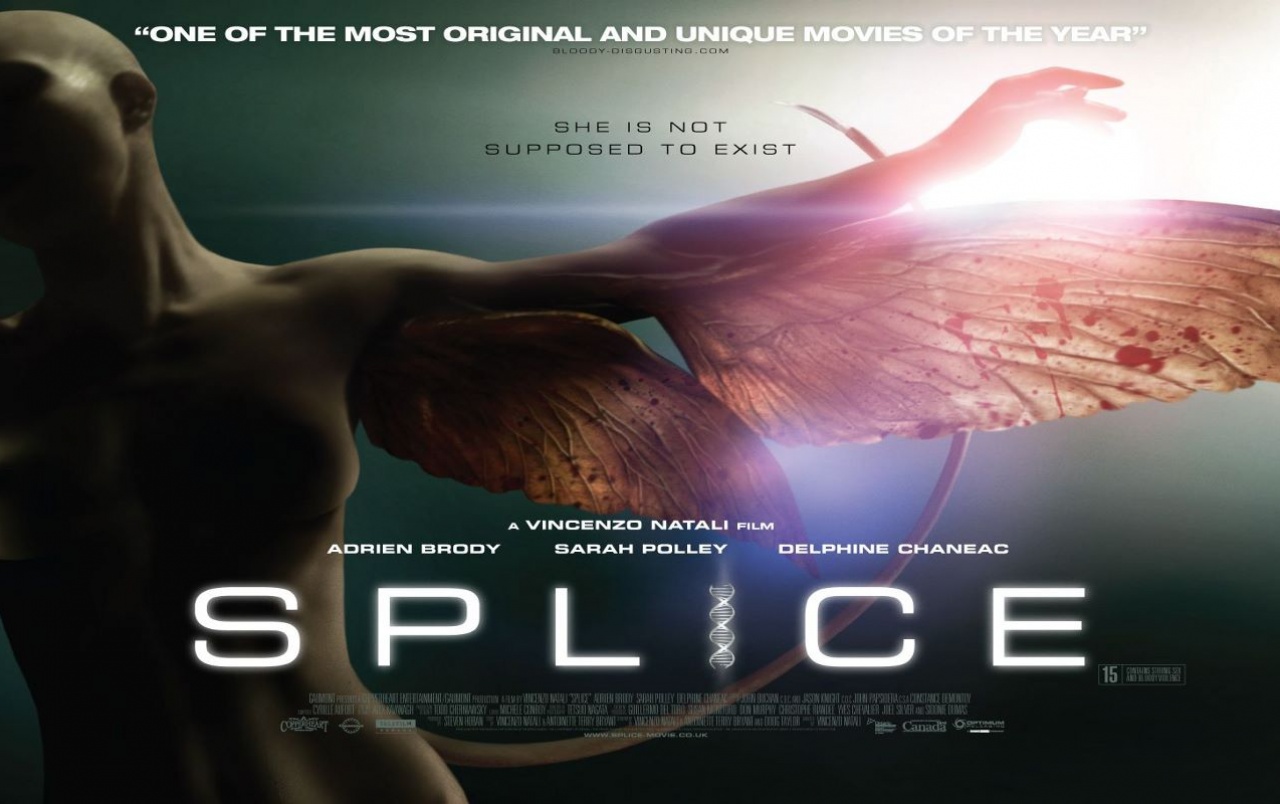 Splice Wallpapers