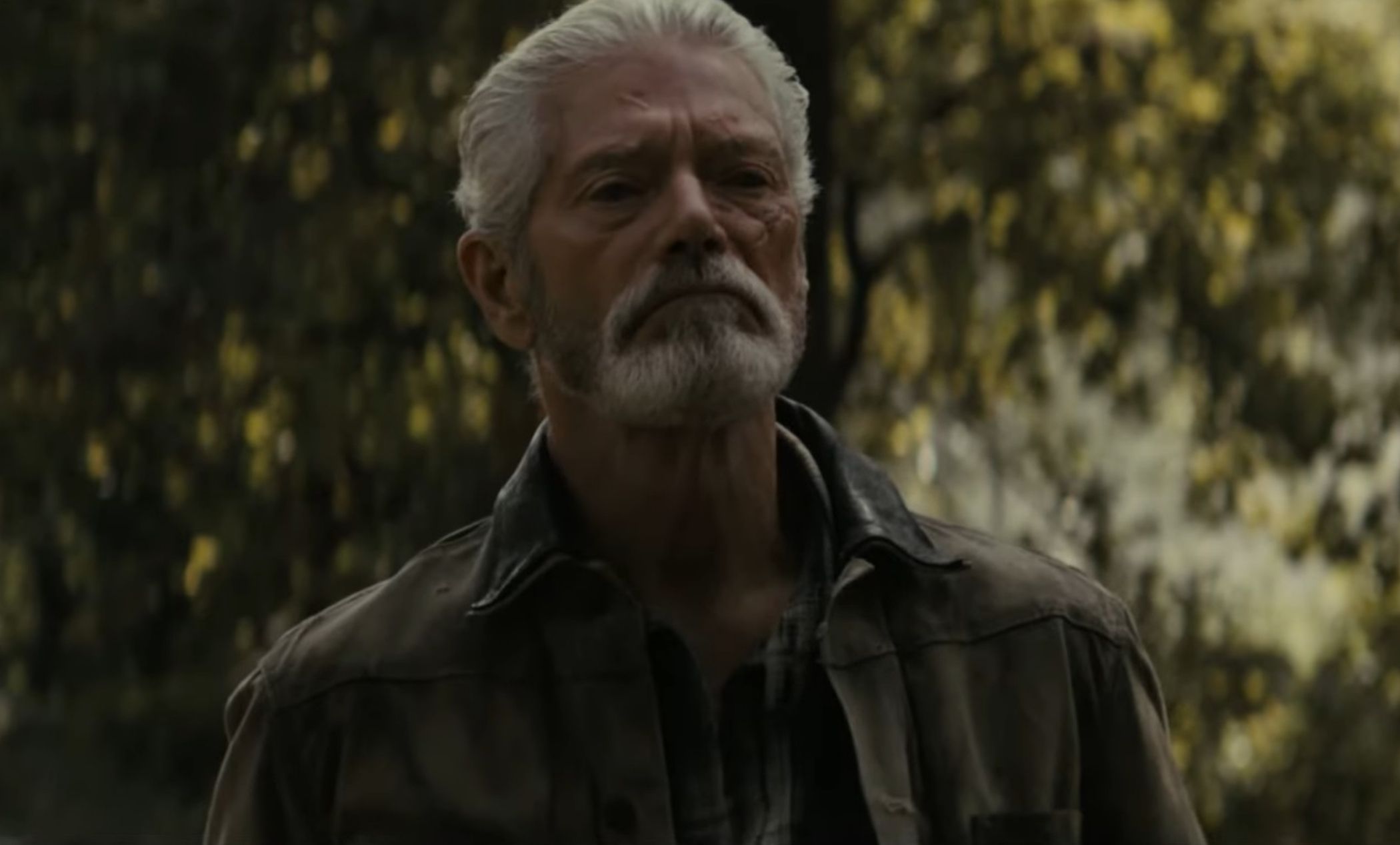 Stephen Lang Don'T Breathe 2 Wallpapers