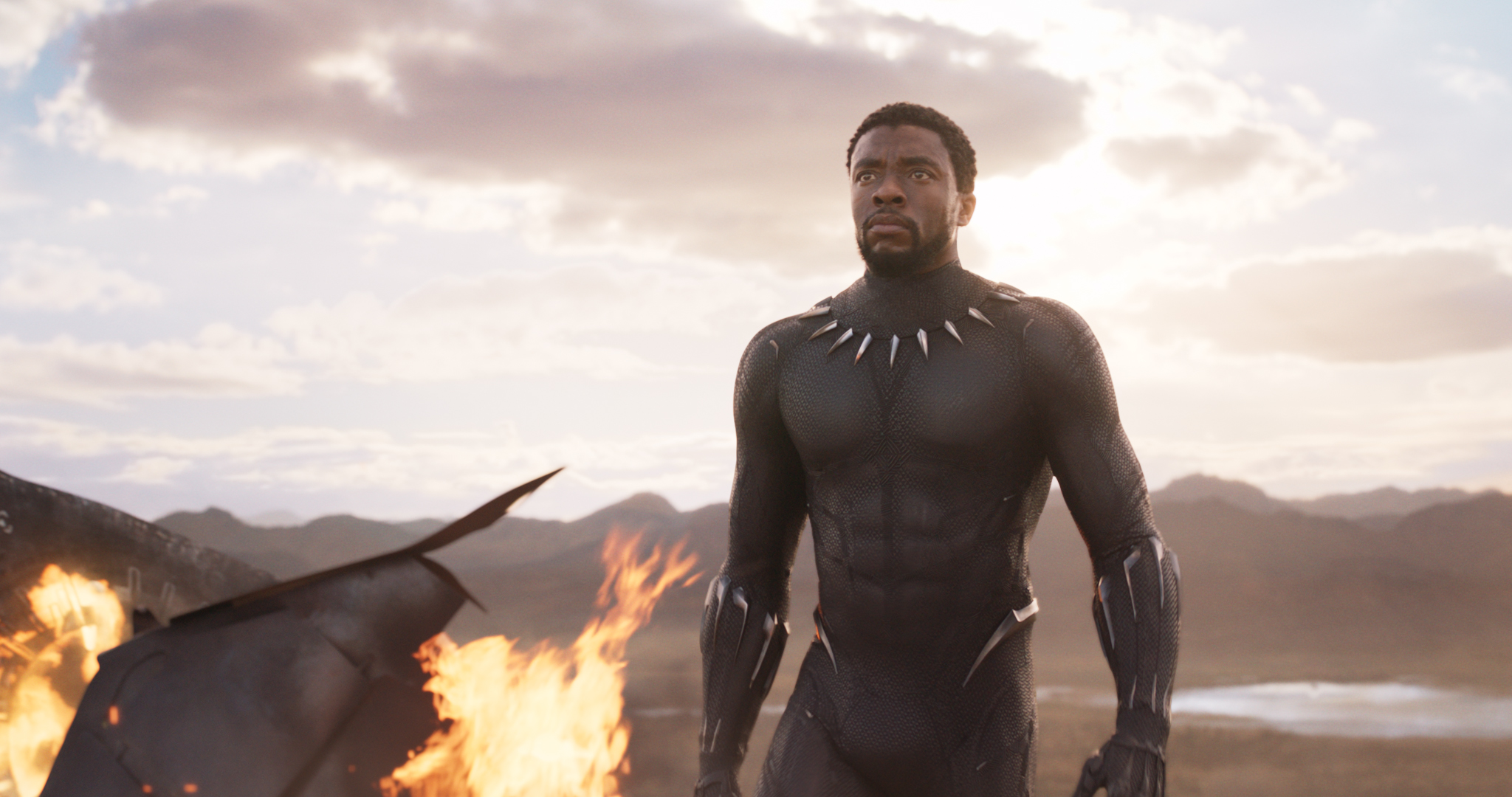 T'Challa Chadwick Boseman Black Panther Wallpapers