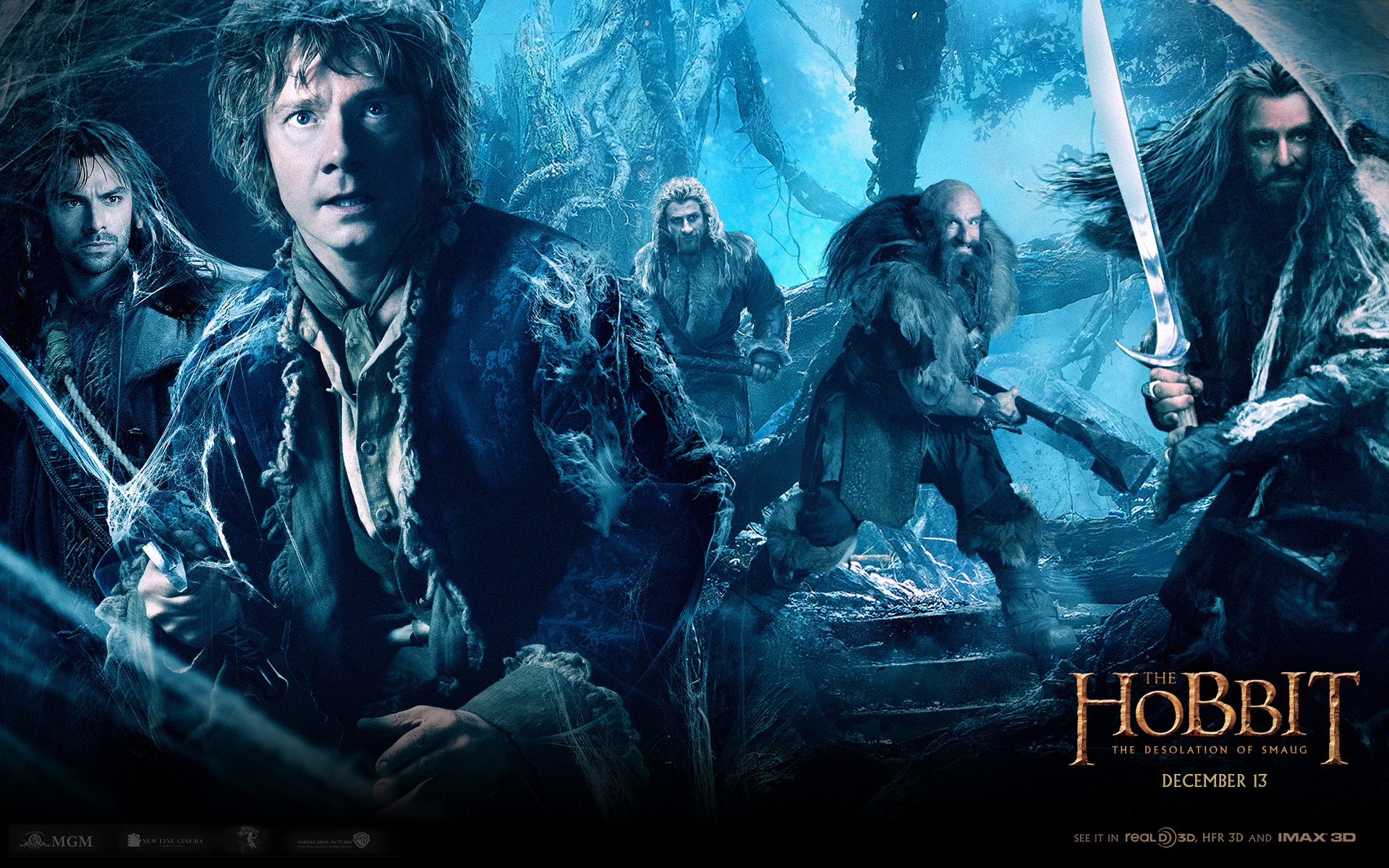 The Hobbit: The Desolation Of Smaug Wallpapers