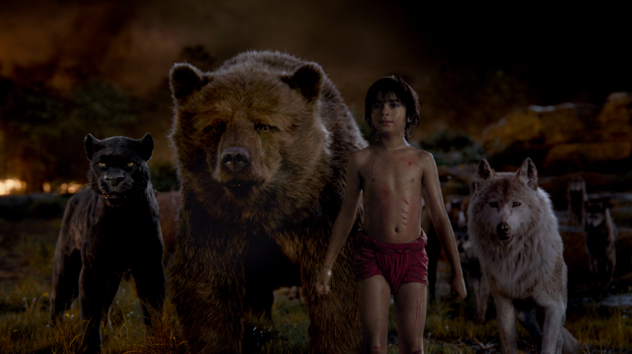 The Jungle Book Movie Wallpapers