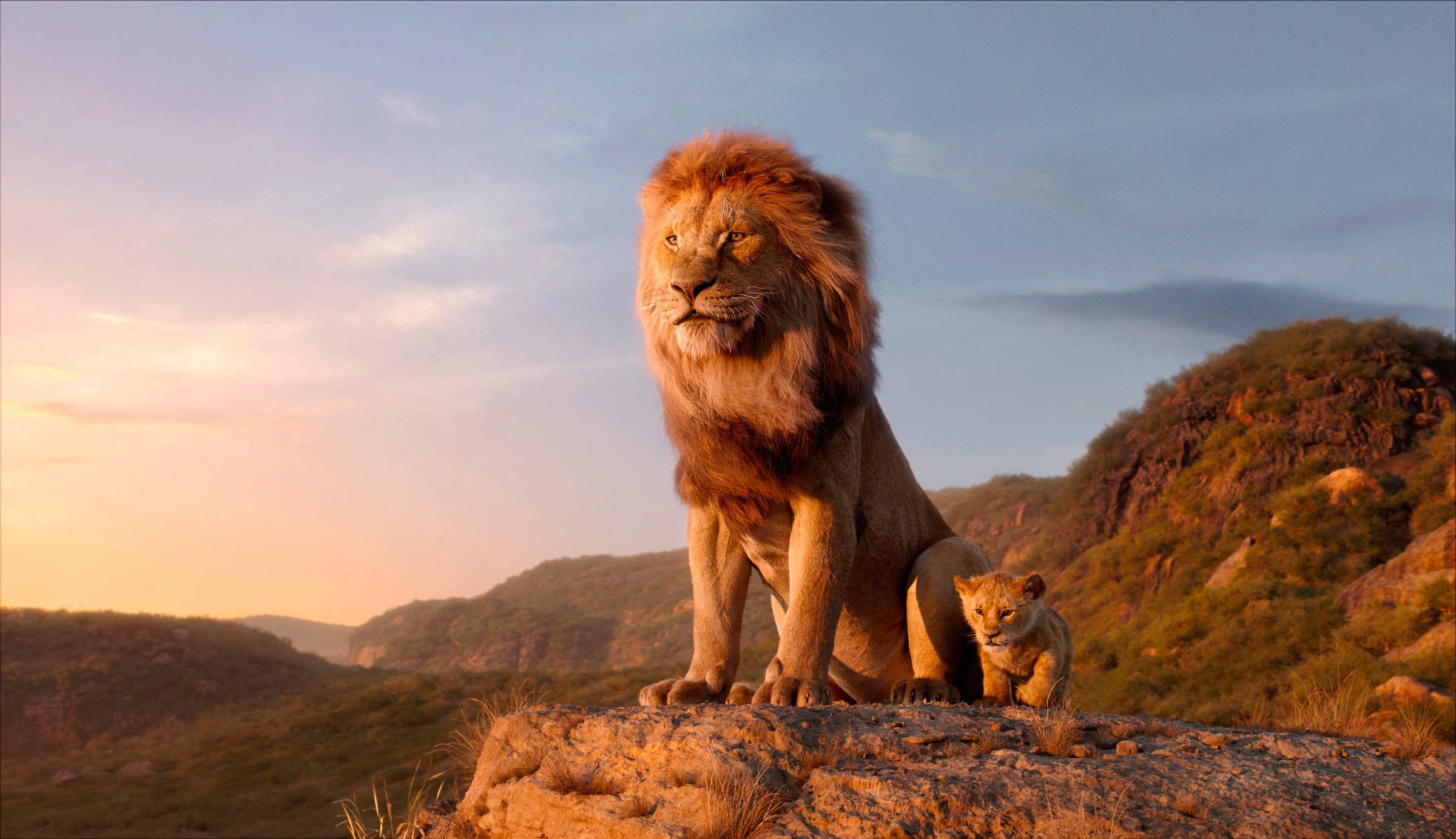 The Lion King Wallpapers